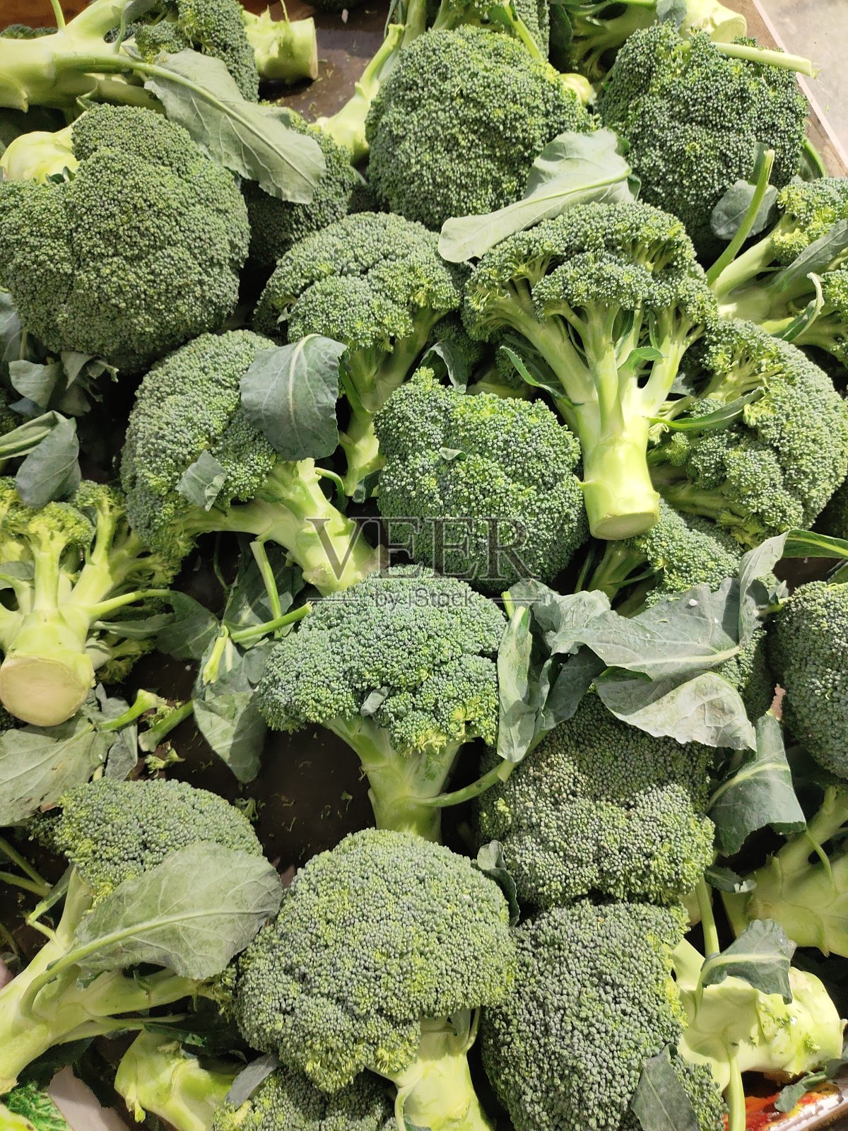 西兰花照片摄影图片