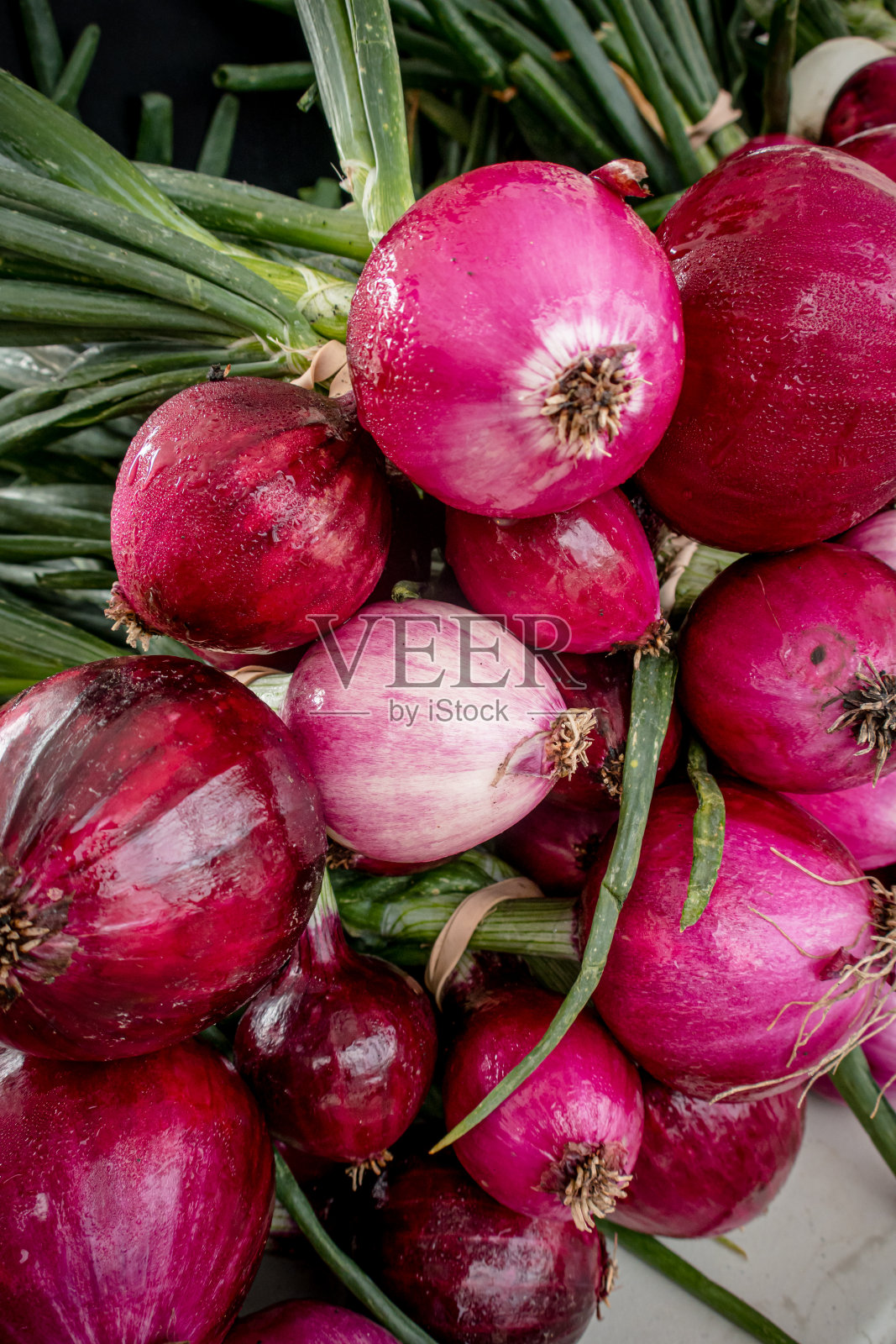 红洋葱照片摄影图片