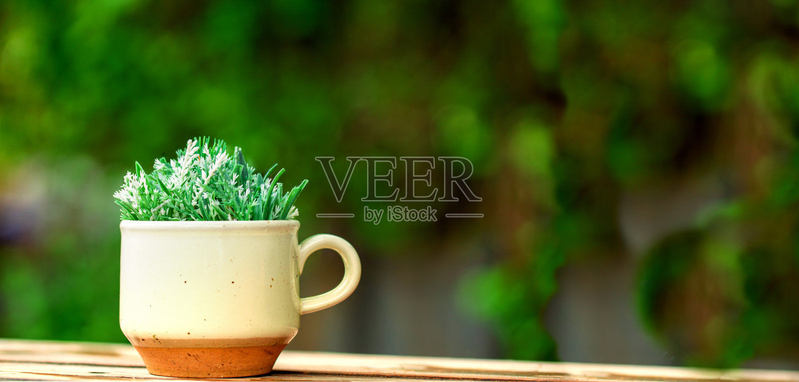 在模糊的绿色园林背景下,木桌上咖啡杯里的小装饰绿色植物照片摄影图片