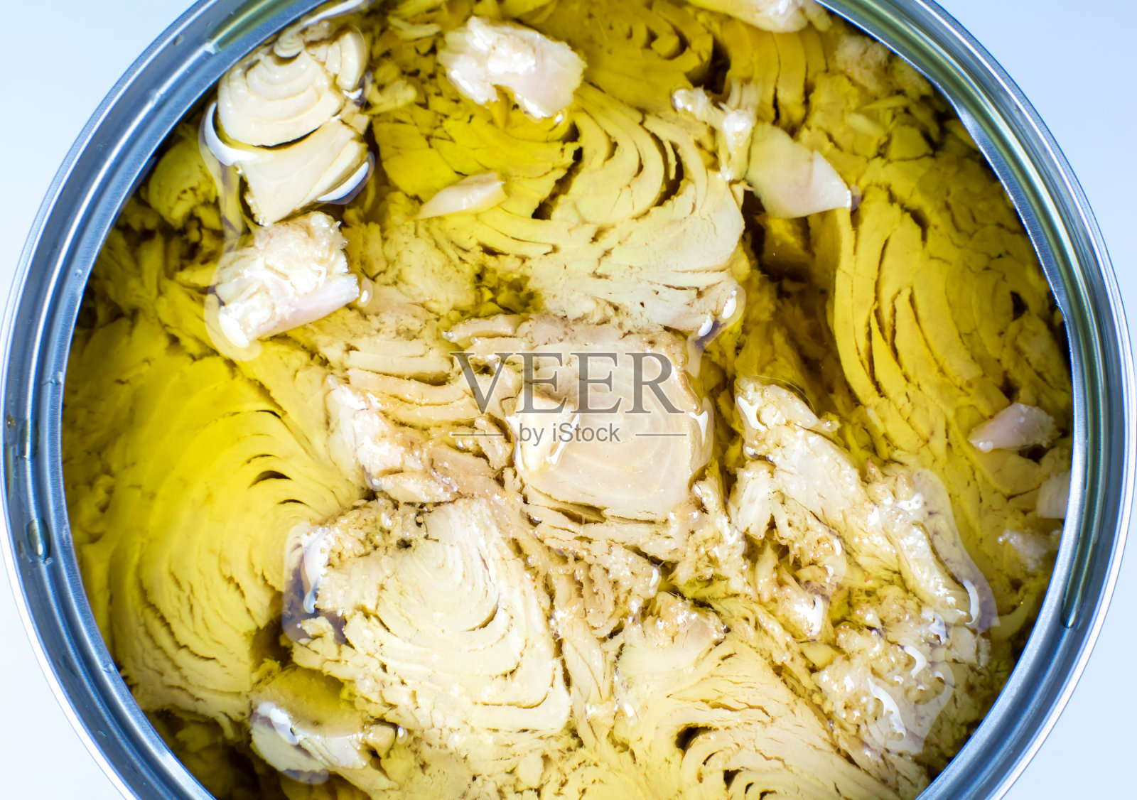 在白色背景油金枪鱼肉罐头。打开罐头,特写照片。照片摄影图片