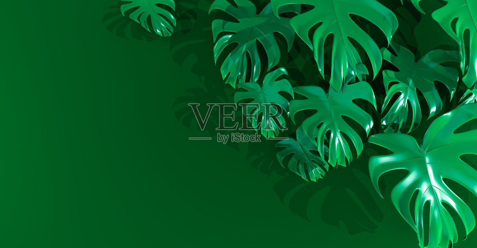 热带树叶背景的3D渲染。绿色背景。热带落叶模式。照片摄影图片