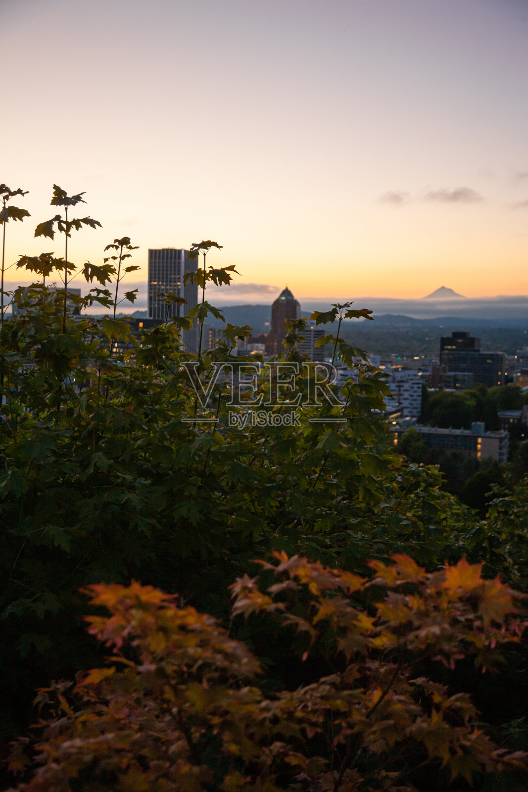 俄勒冈州波特兰日出与秋天彩色的树叶照片摄影图片