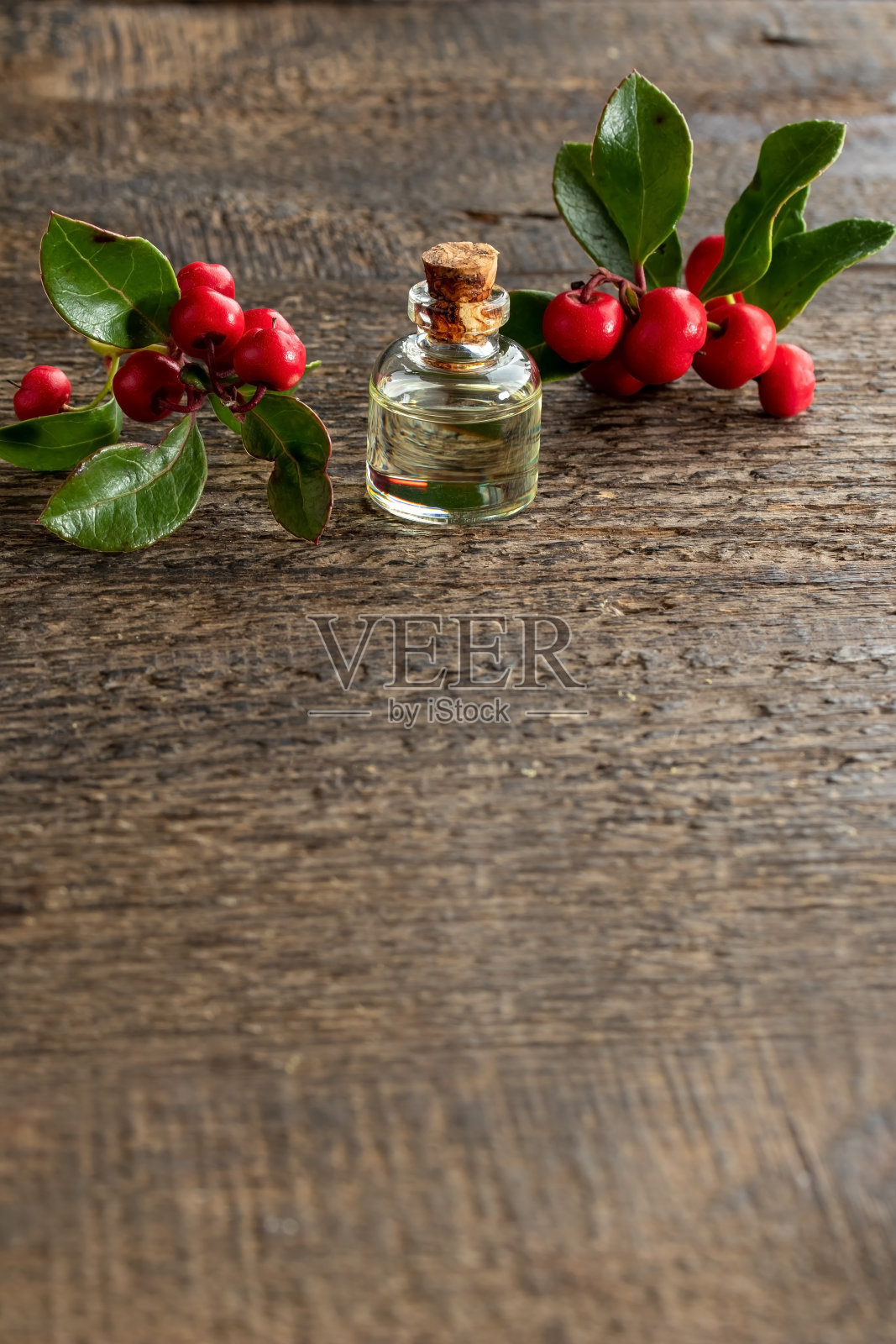 精油瓶与鹿蹄绿叶和浆果,在底部有拷贝空间照片摄影图片