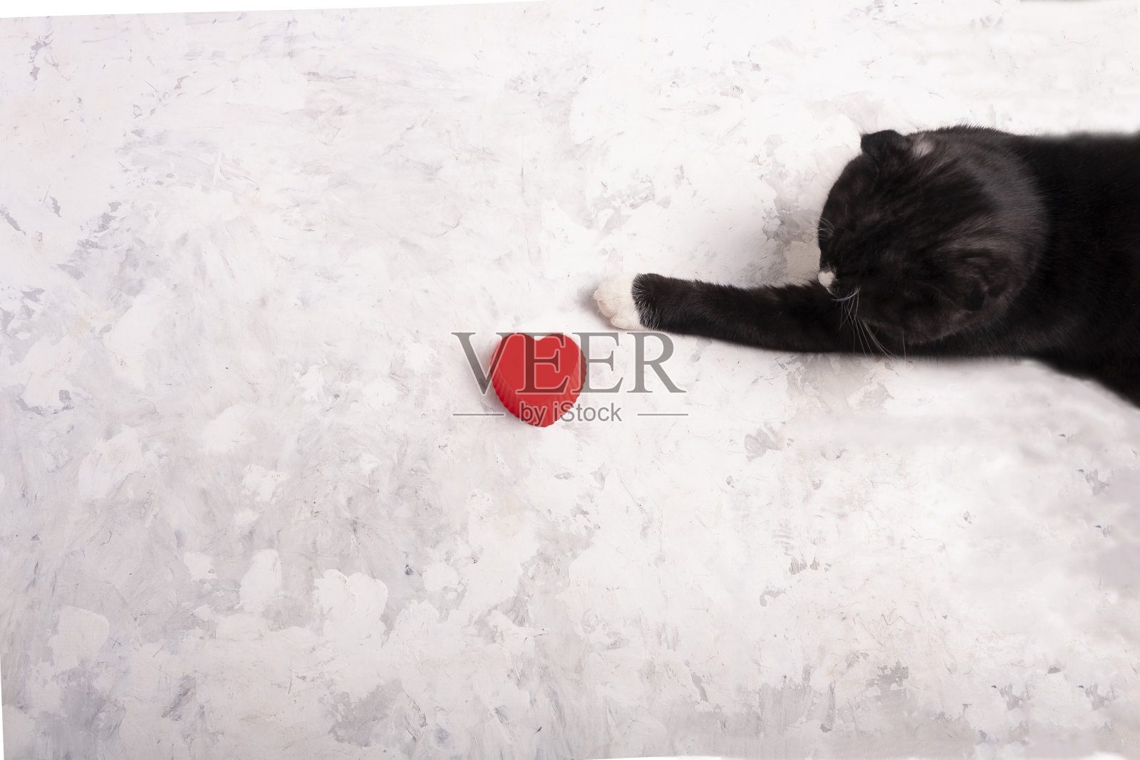 情人节。礼物。恭喜你所爱的人。照片摄影图片