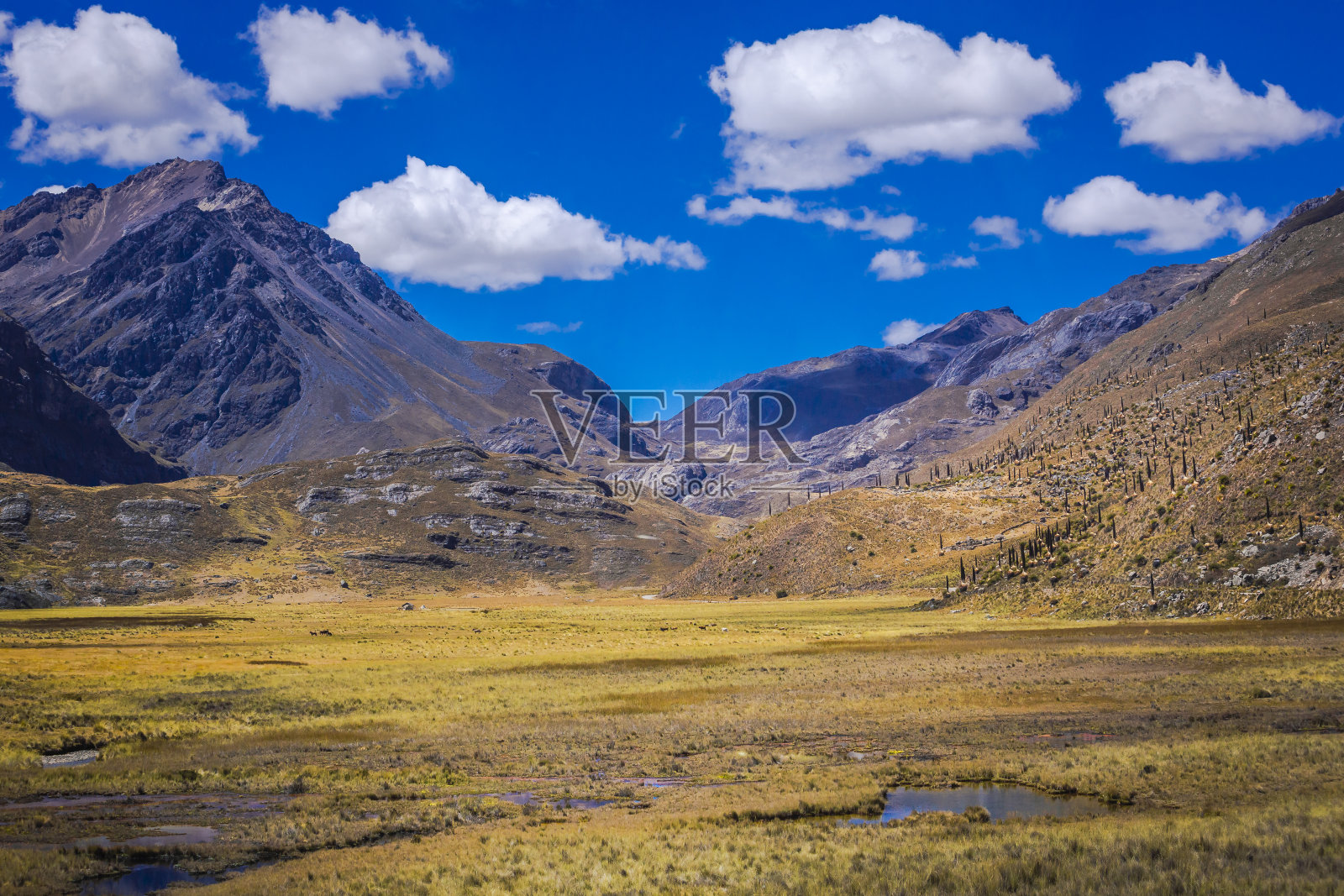 秘鲁安卡什山脉卡尔帕山谷风光照片摄影图片