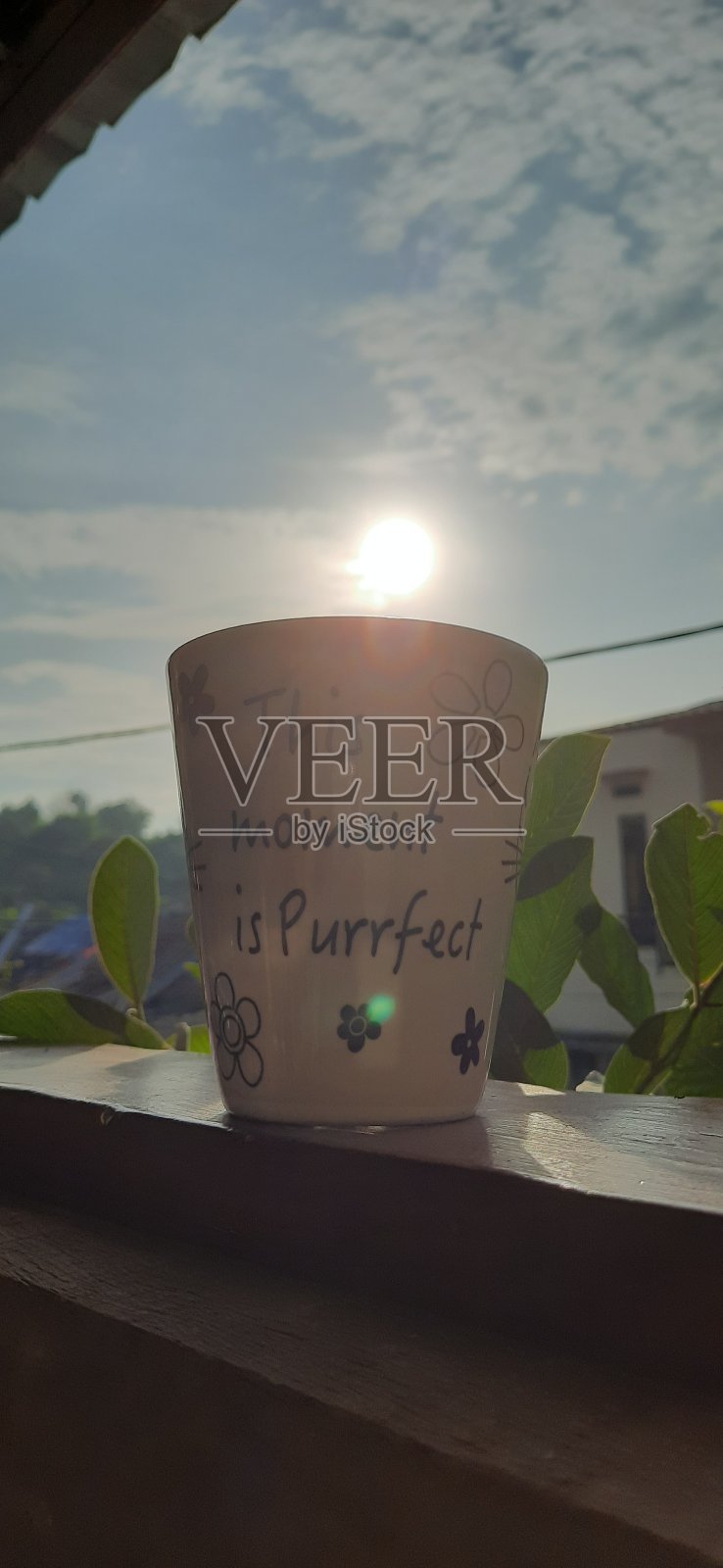 一杯茶照片摄影图片