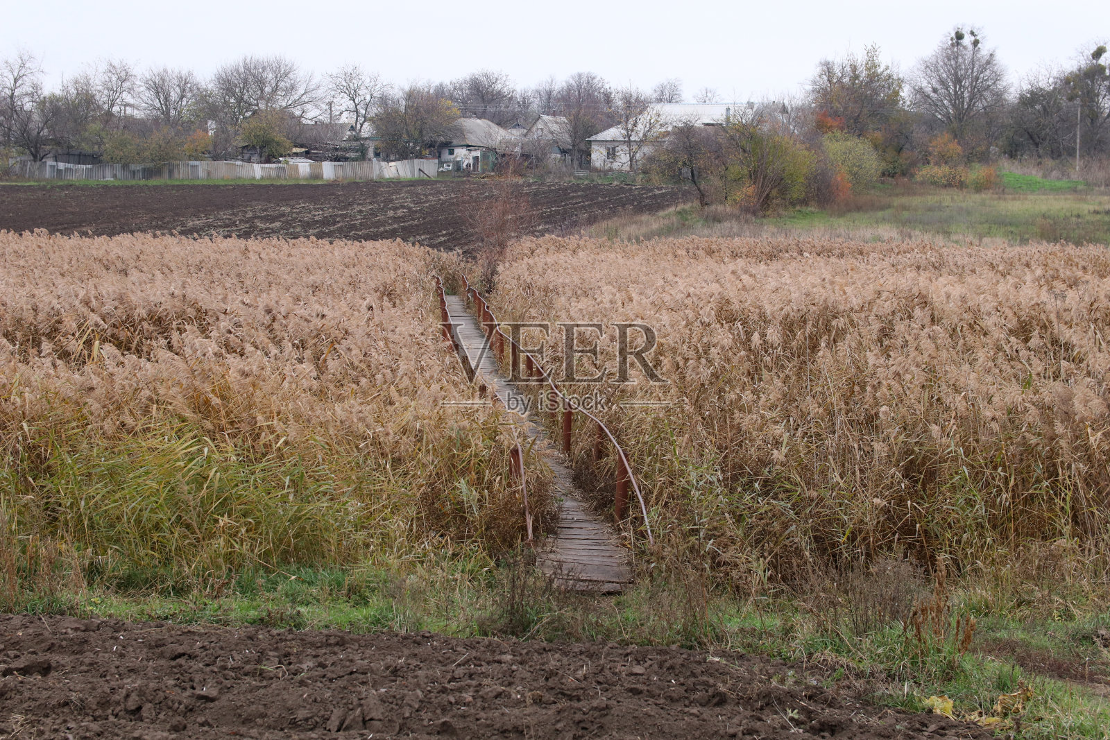 河上有金属栏杆的狭窄的旧木桥。照片摄影图片