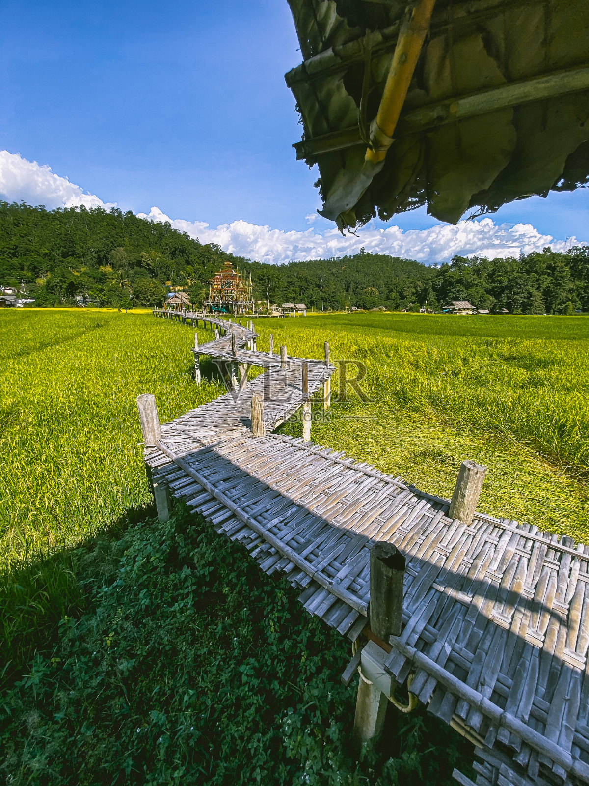 泰国清迈,派竹桥,Mae Hong Son照片摄影图片