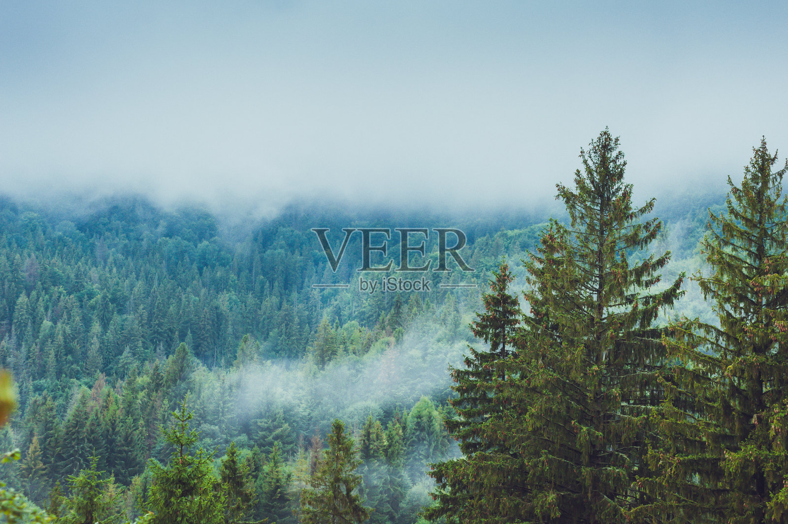 山林中有雾照片摄影图片