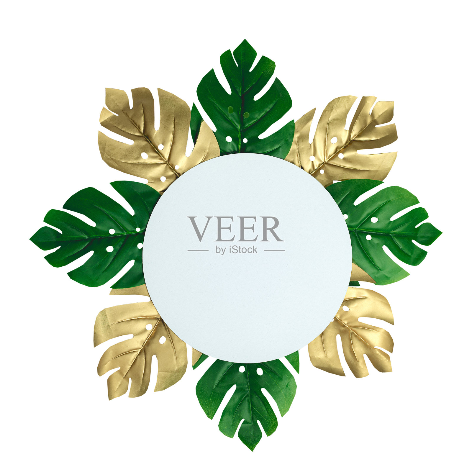 顶视图绿色和金色的热带树叶在旧的白色木地板上照片摄影图片