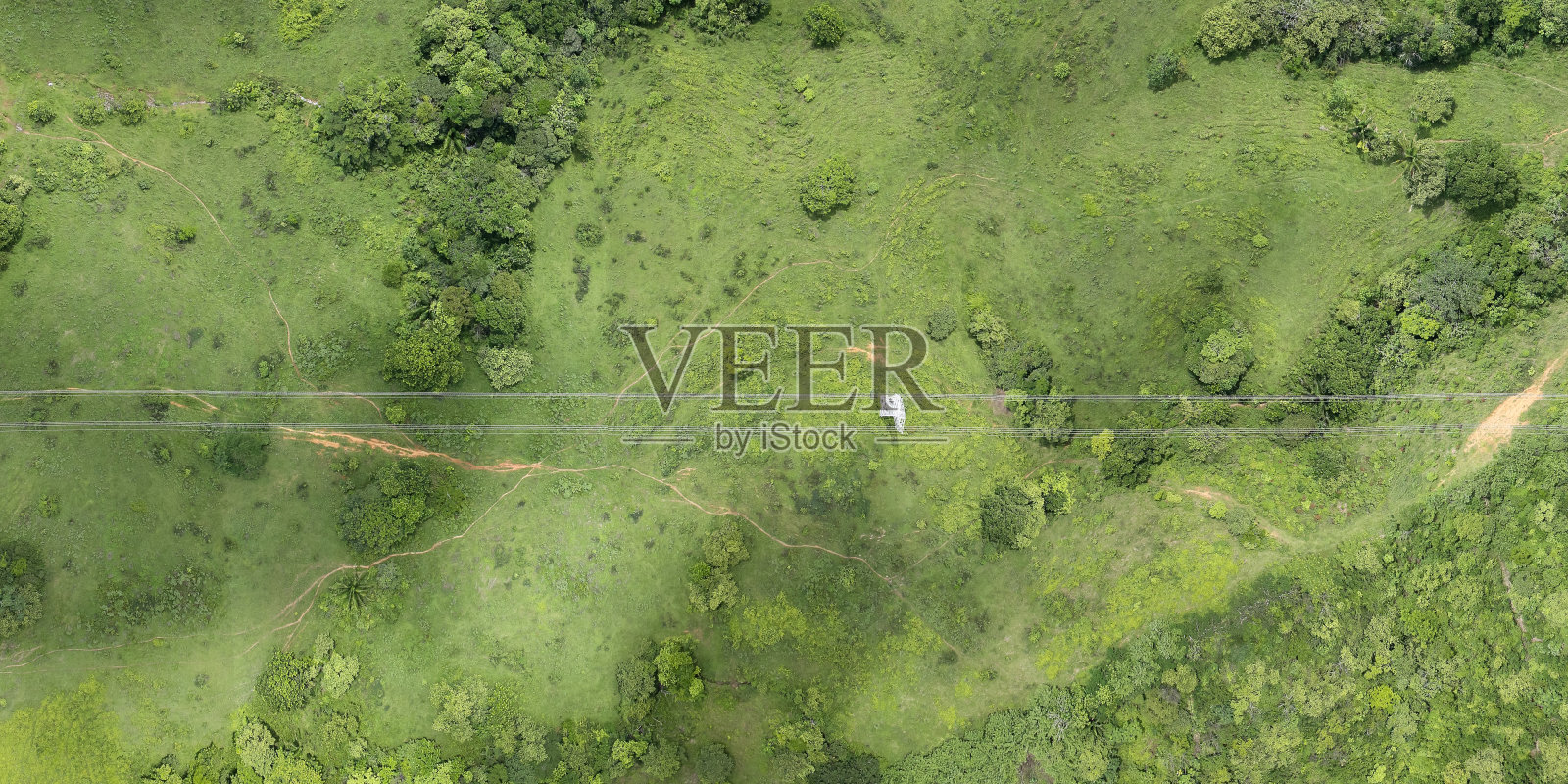 热带输电线走廊照片摄影图片