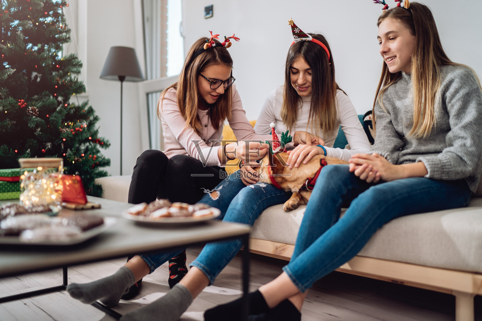 十几岁的女孩和一只狗在节日期间呆在家里照片摄影图片