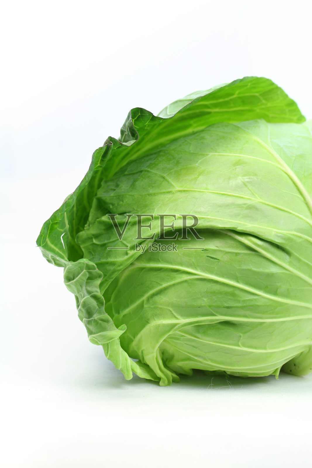 卷心菜照片摄影图片