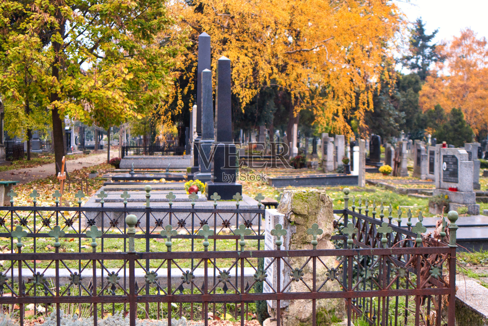 大理石墓碑上五颜六色的秋叶照片摄影图片