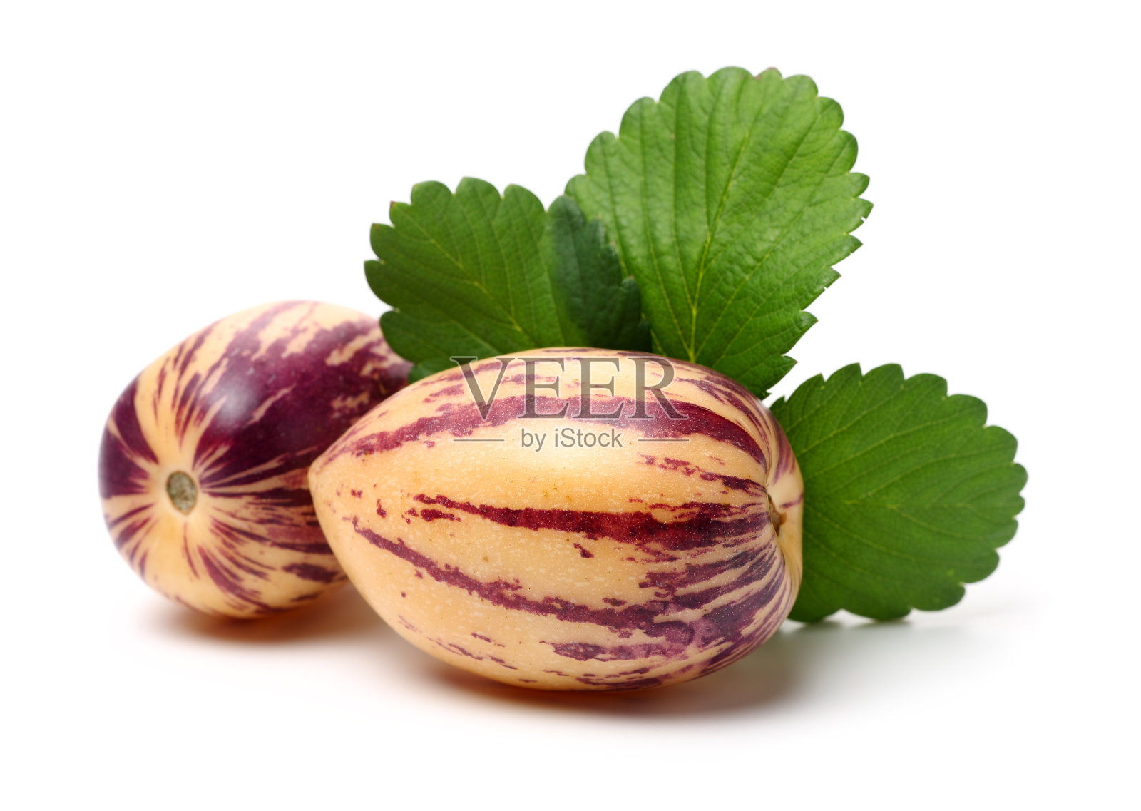 鲜茄瓜水果照片摄影图片