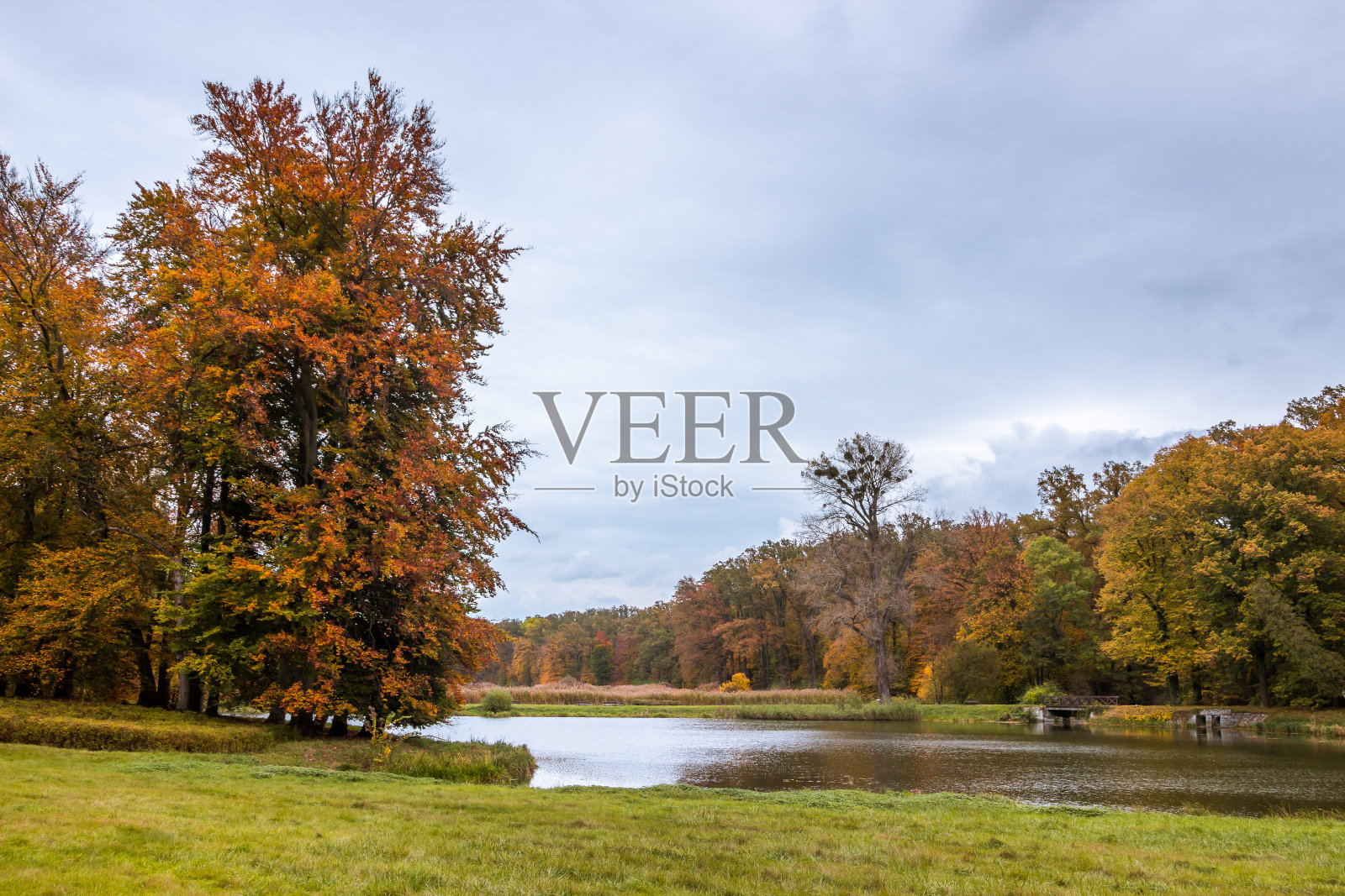 秋天的色彩在公园里照片摄影图片