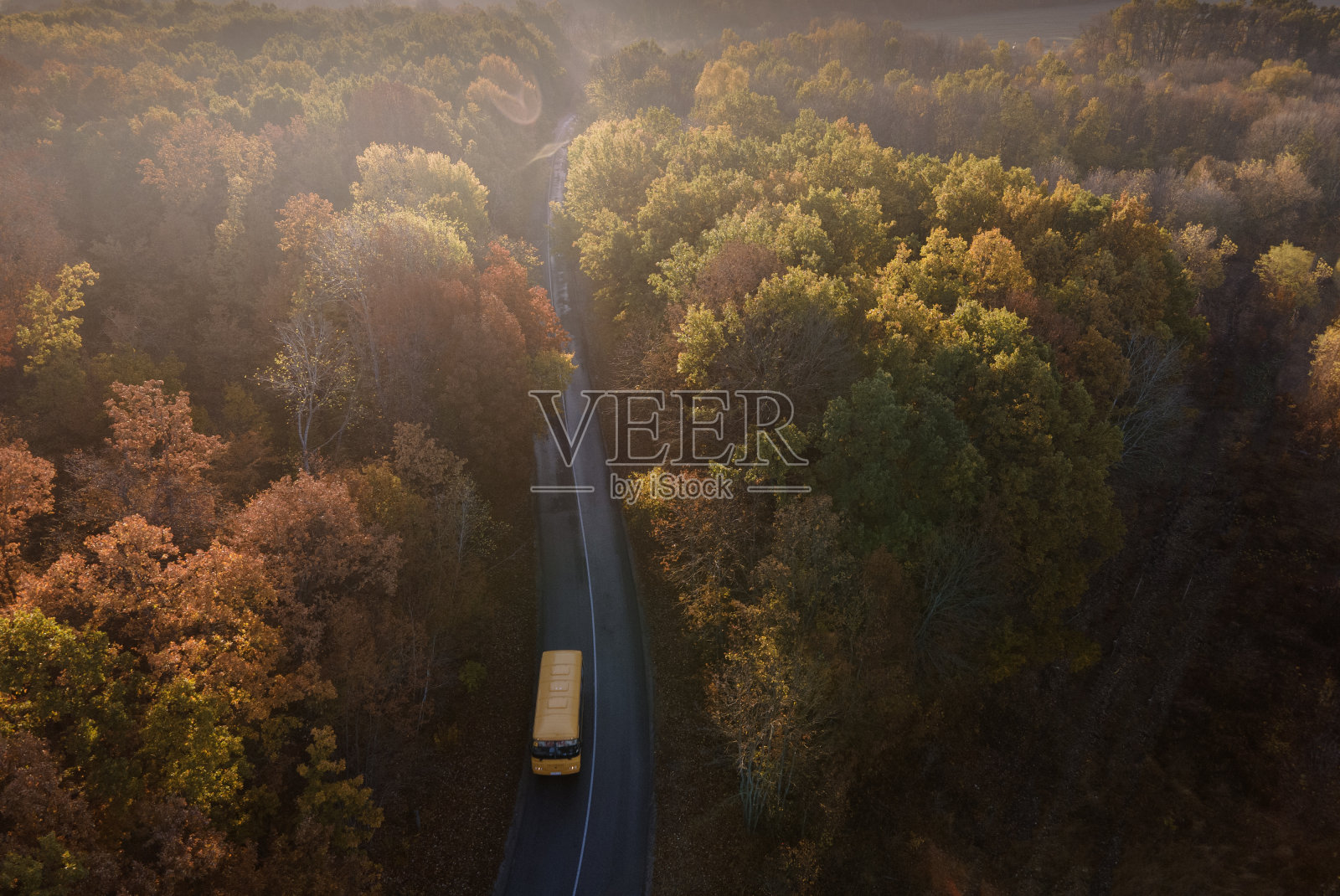 鸟瞰图与校车在美丽的秋天森林日落。照片摄影图片