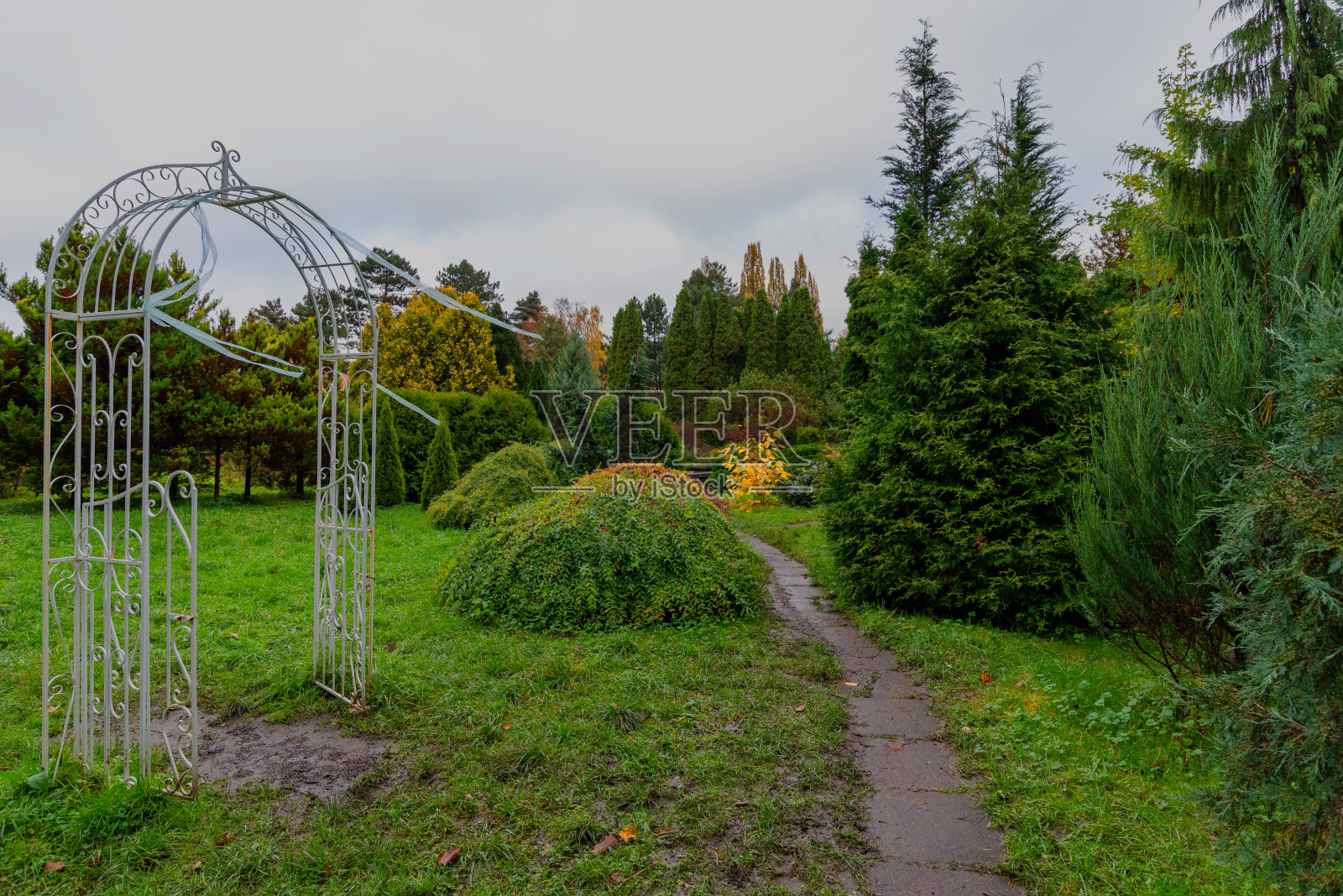 公园景观建筑,白色拱门。俄罗斯。照片摄影图片