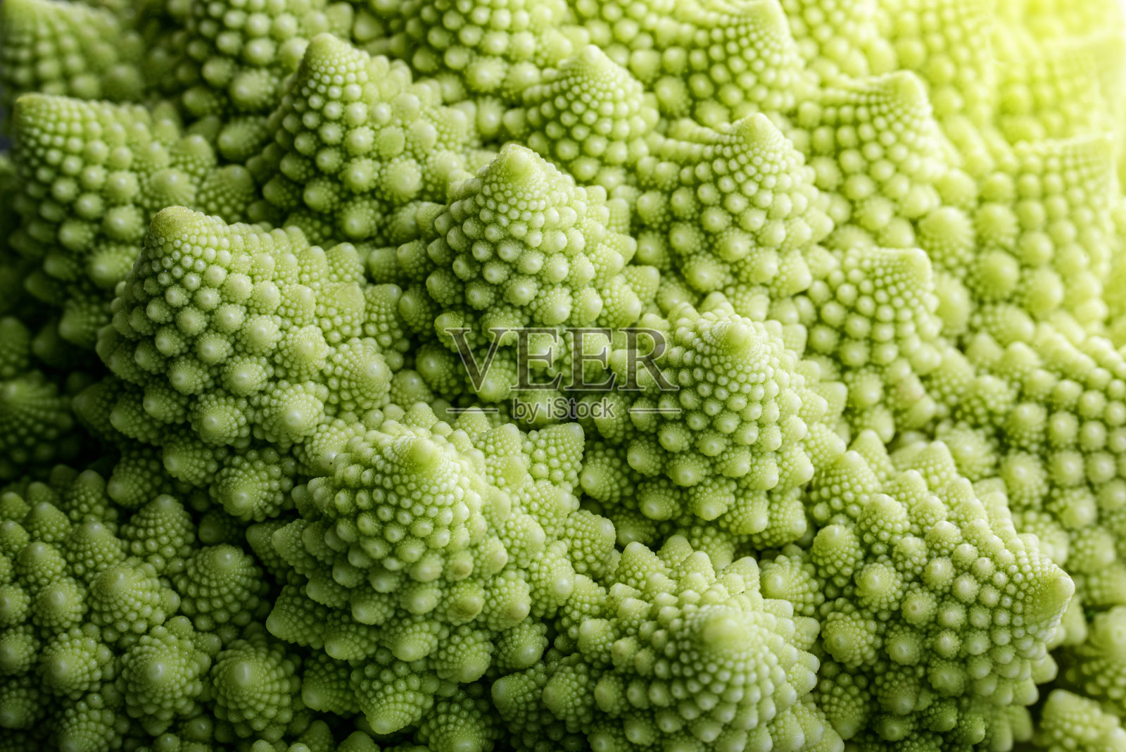 罗马花椰菜特写。罗马花椰菜或罗马花椰菜(甘蓝)的分形结构,一种花椰菜变种。照片摄影图片