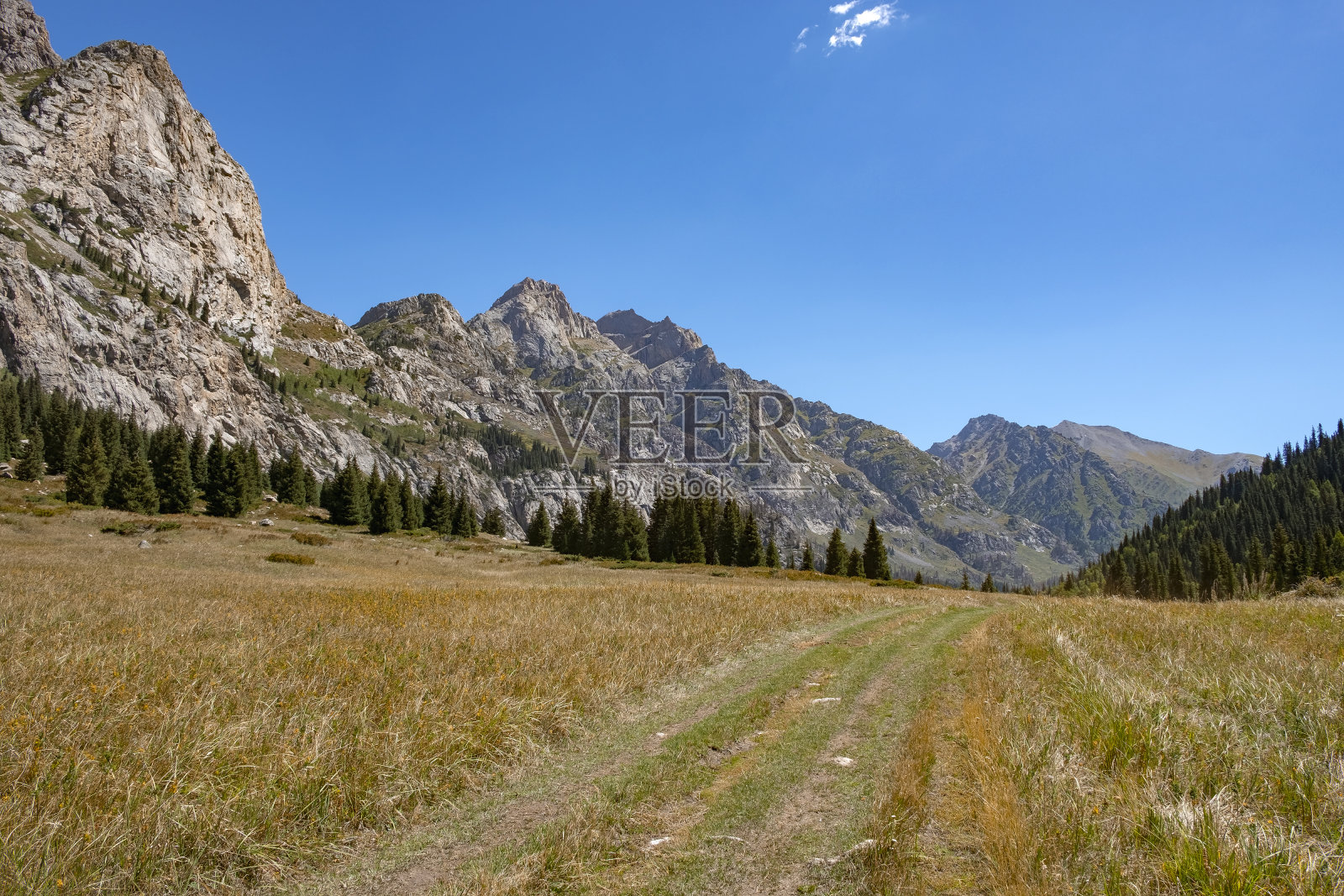 高山峡谷景观与多云的蓝天。夏天自然景观。哈萨克斯坦的科拉河峡谷,通往布尔汗布拉克瀑布。哈萨克斯坦的旅游概念。照片摄影图片