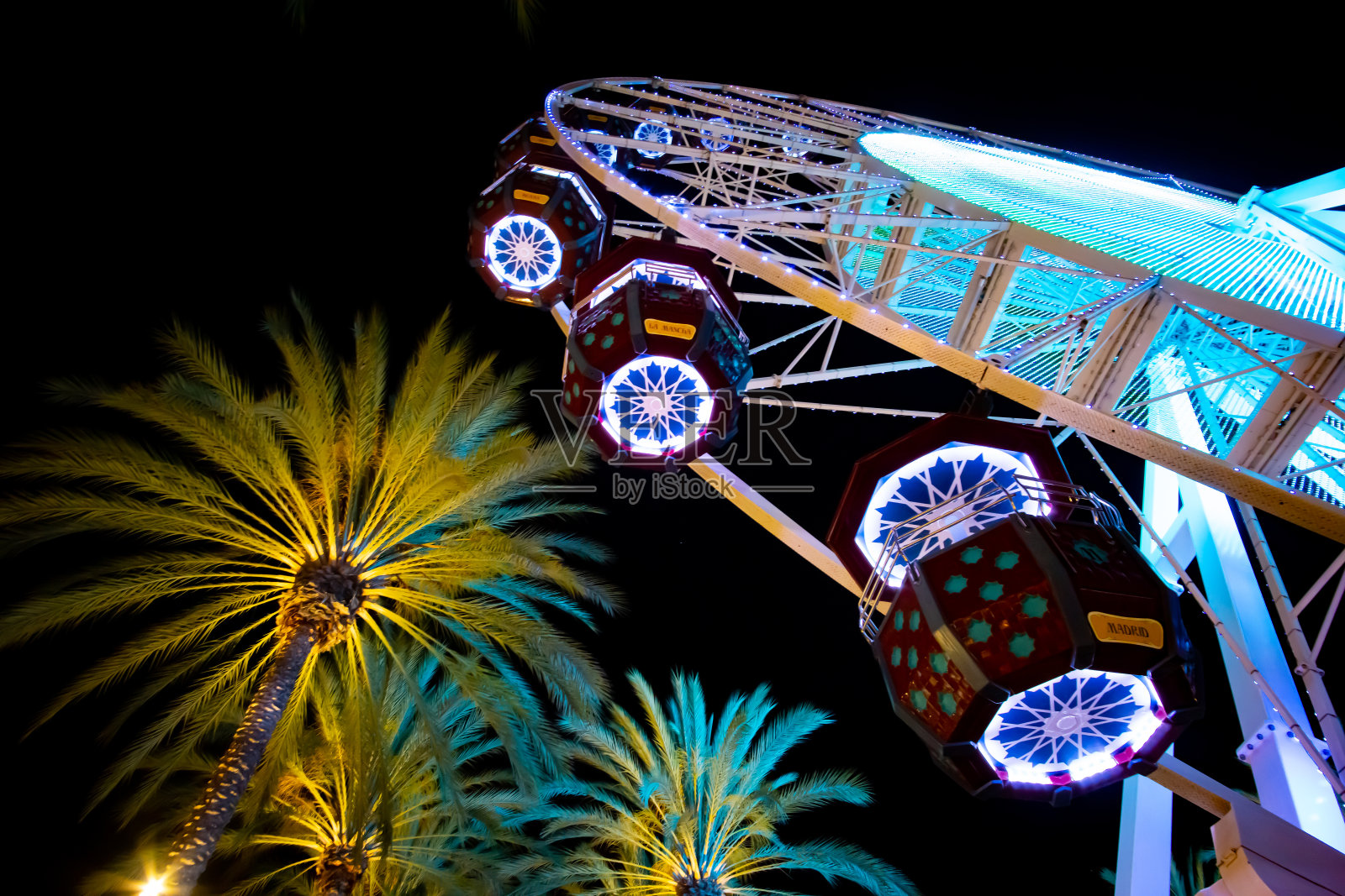 棕榈树旁的摩天轮照片摄影图片