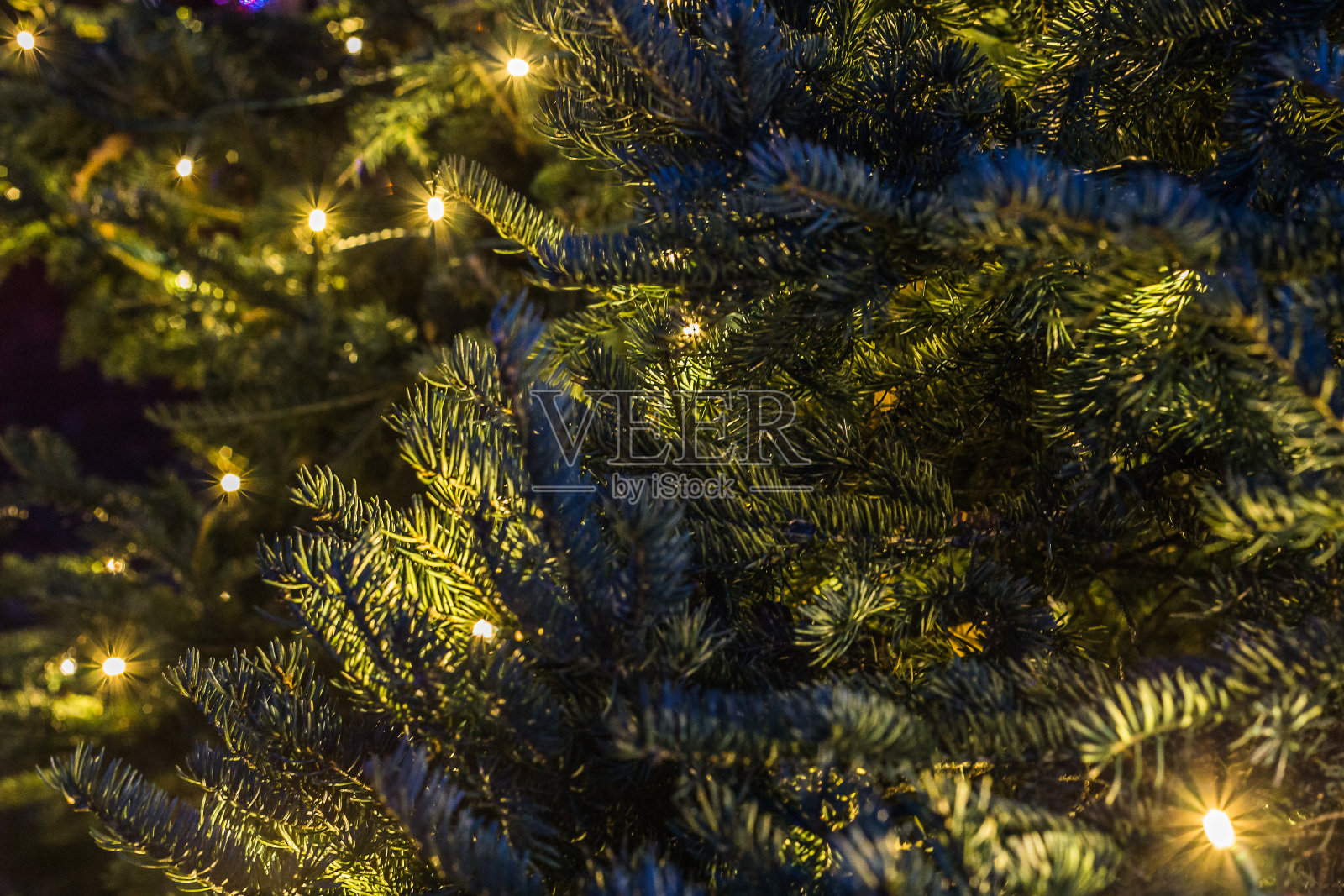 假日主题的照片照片摄影图片