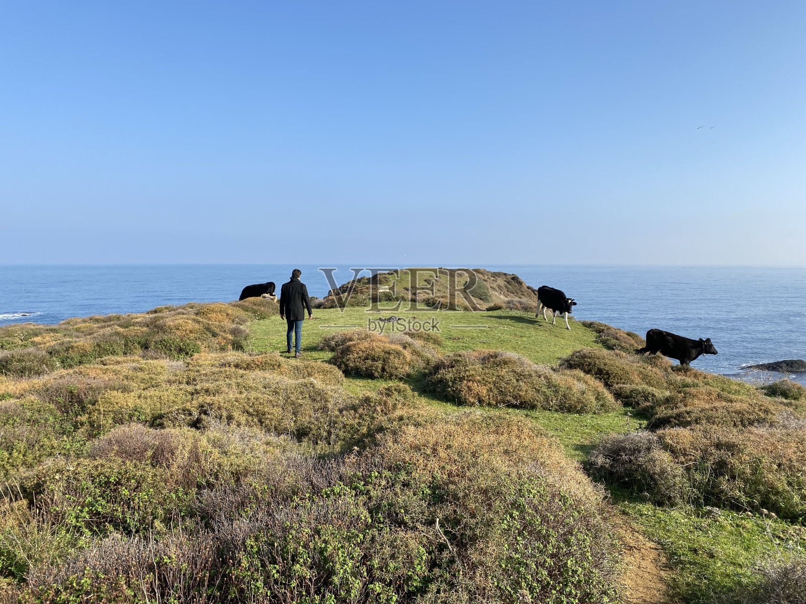 大海,自然,海滩,蓝色,土耳其,伊斯坦布尔照片摄影图片