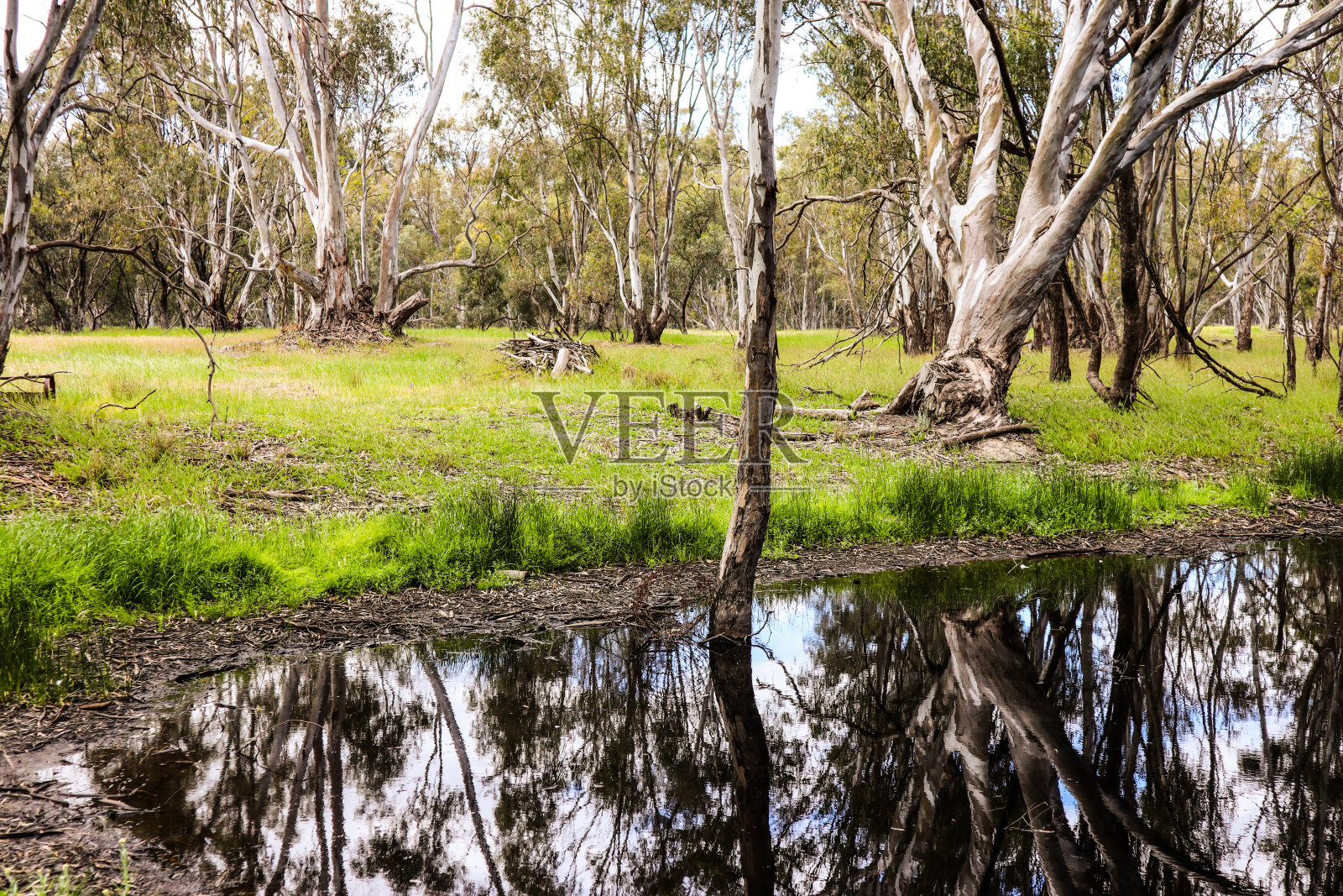 迪尼利昆,新南威尔士,澳大利亚照片摄影图片