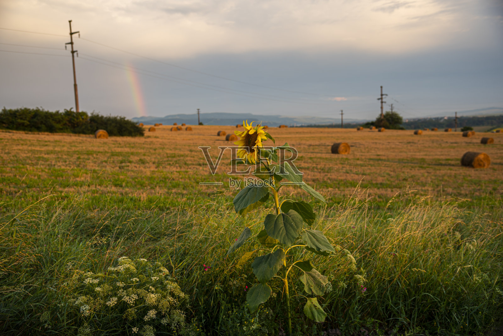 神奇的彩虹照片摄影图片