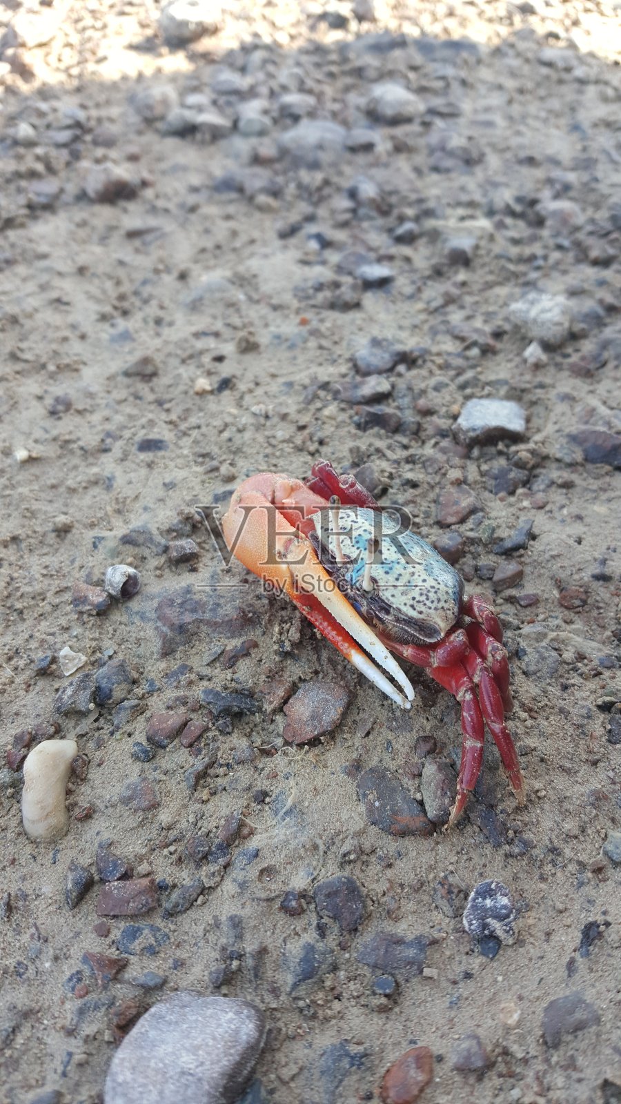 垃圾照片摄影图片