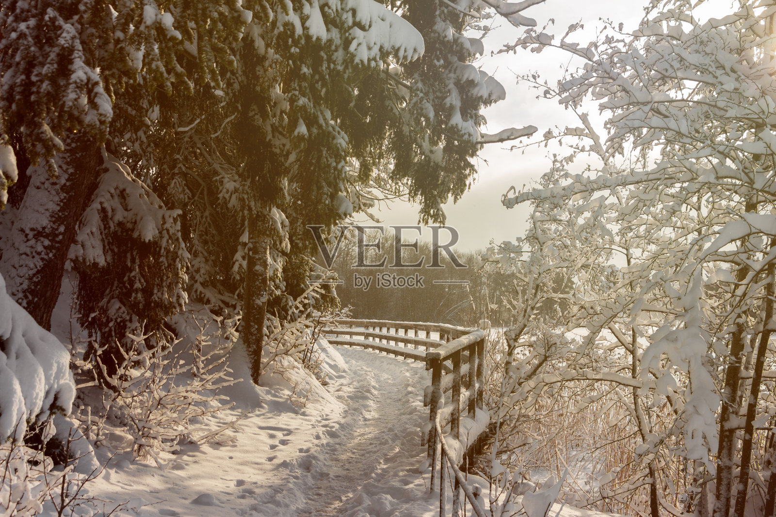 冬雪步道向前照片摄影图片