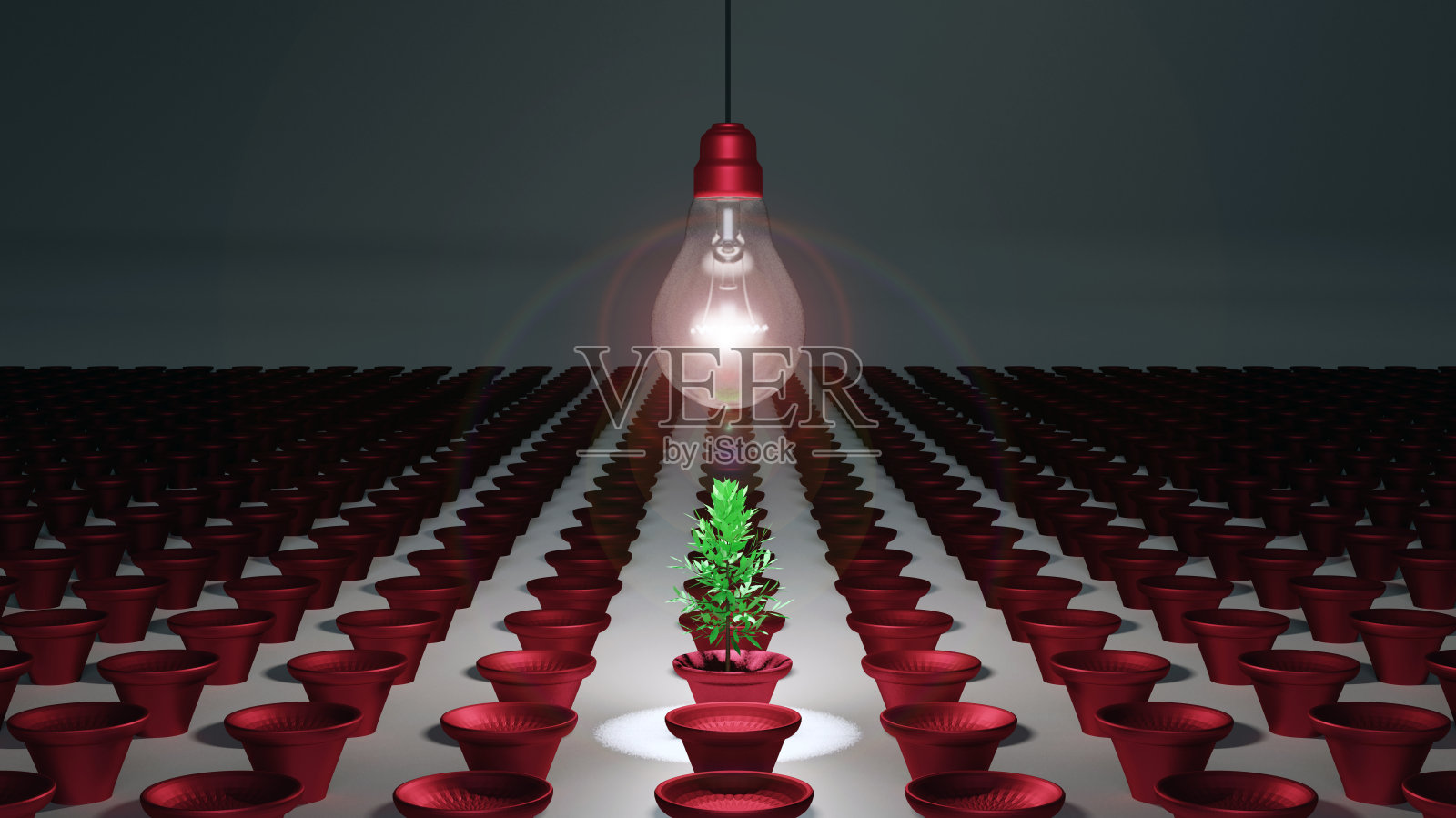 灯泡上盆栽植物摘要照片摄影图片