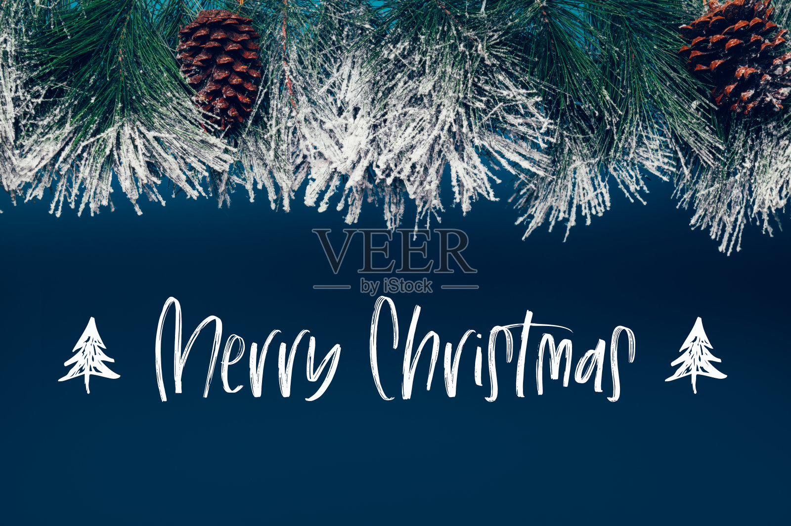 圣诞树树枝作为框架照片摄影图片