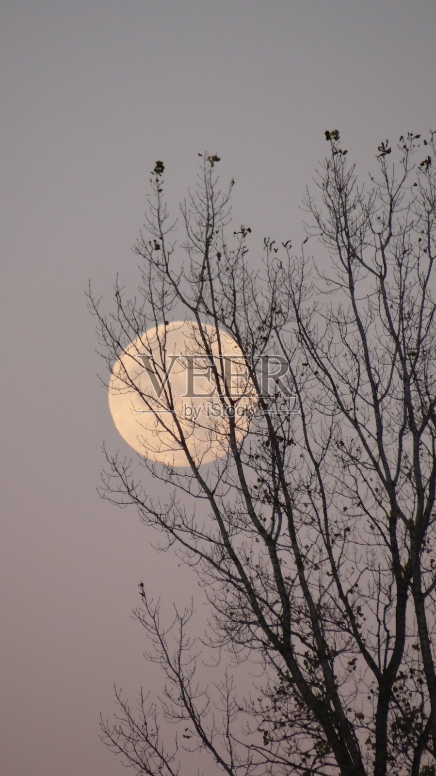 月球表面照片摄影图片