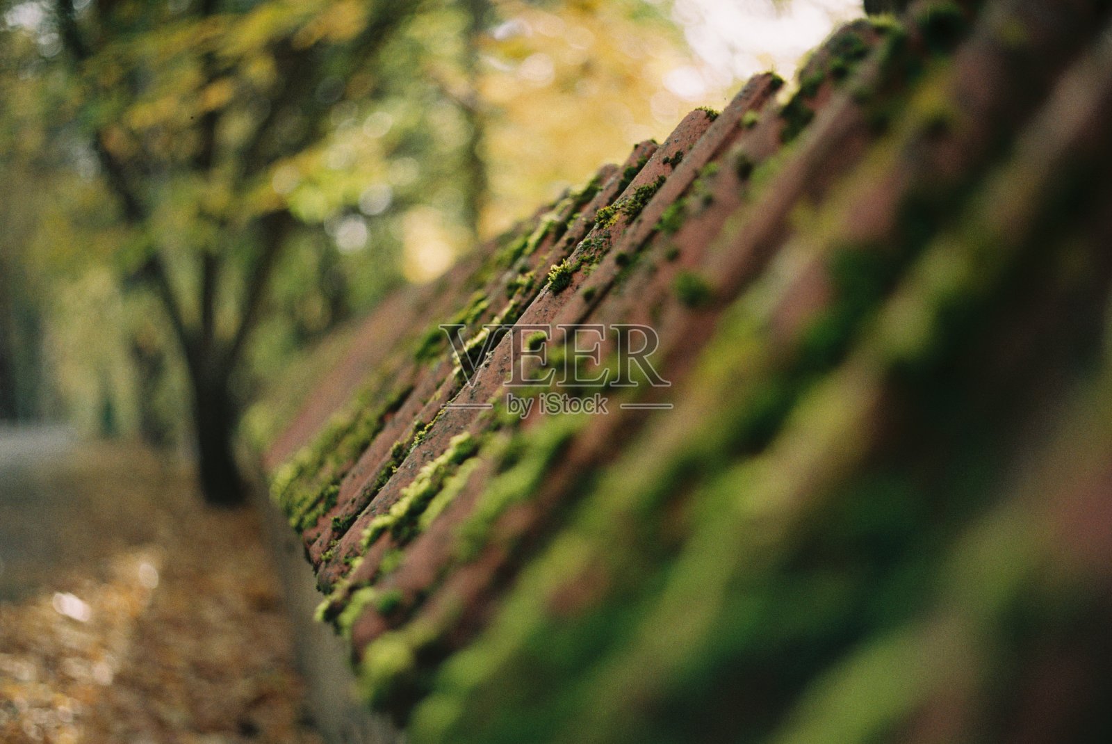 砖墙照片摄影图片