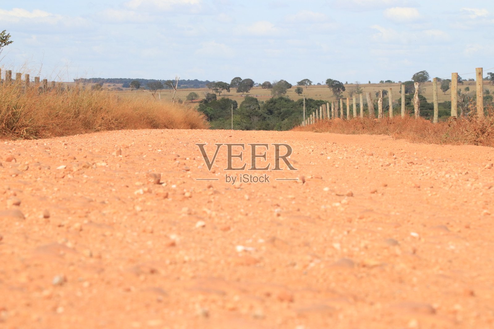 背景中有树木的乡村土路照片摄影图片