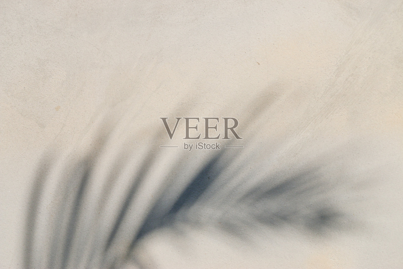 抽象的背景纹理阴影叶子在混凝土墙上照片摄影图片