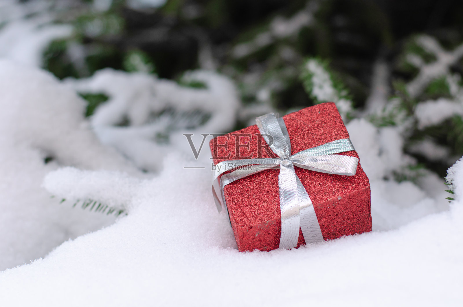 圣诞红色装饰球在一个被雪覆盖的云杉树枝。恭贺新禧,贺卡伴自然雪。副本的空间。照片摄影图片