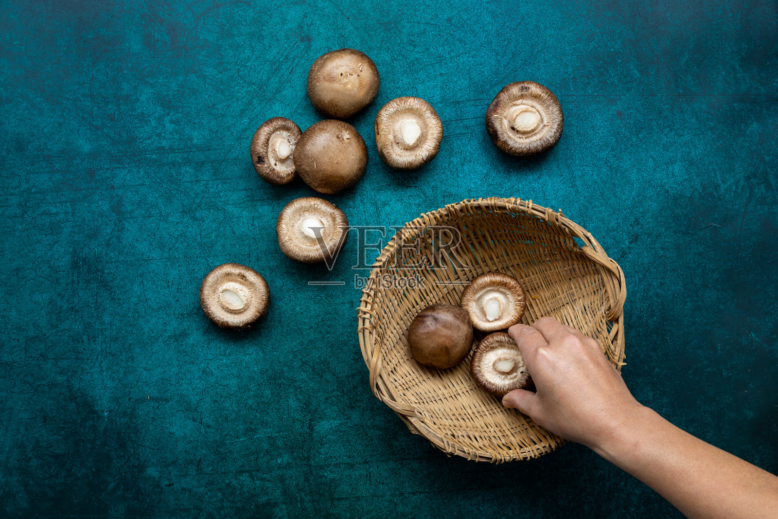 蓝色背景的新鲜香菇盘。照片摄影图片