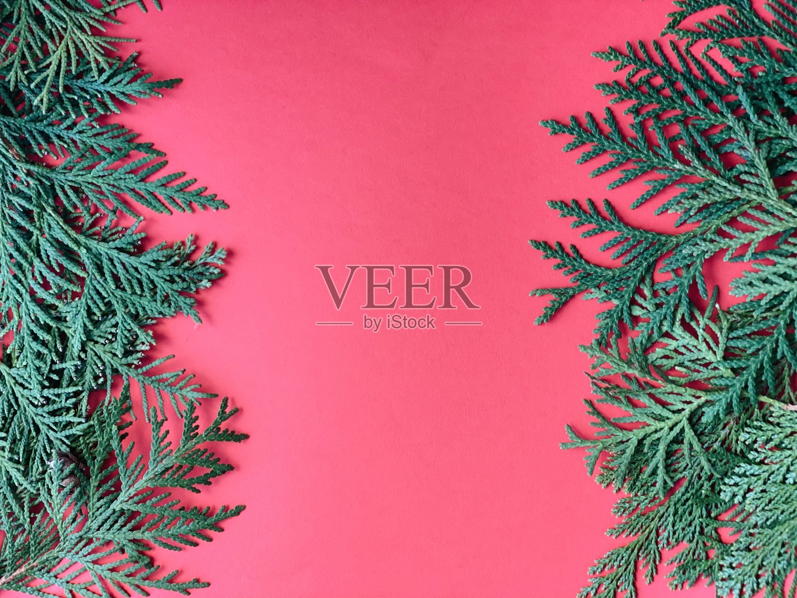 圣诞节装饰布局或平与冷杉树枝和在红色的背景。生态自然的框架。冬、新年假期概念为顶景、拷贝空间。贺卡模板照片摄影图片