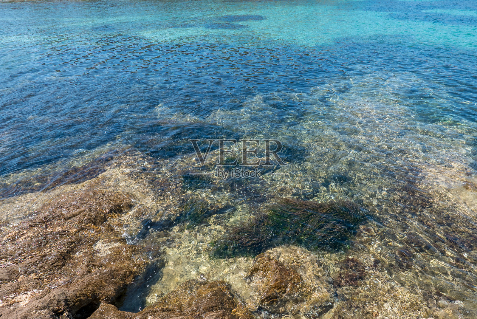 夏天发现波克雷勒斯岛。荒凉的海滩和松树在法国里维埃拉的景观照片摄影图片