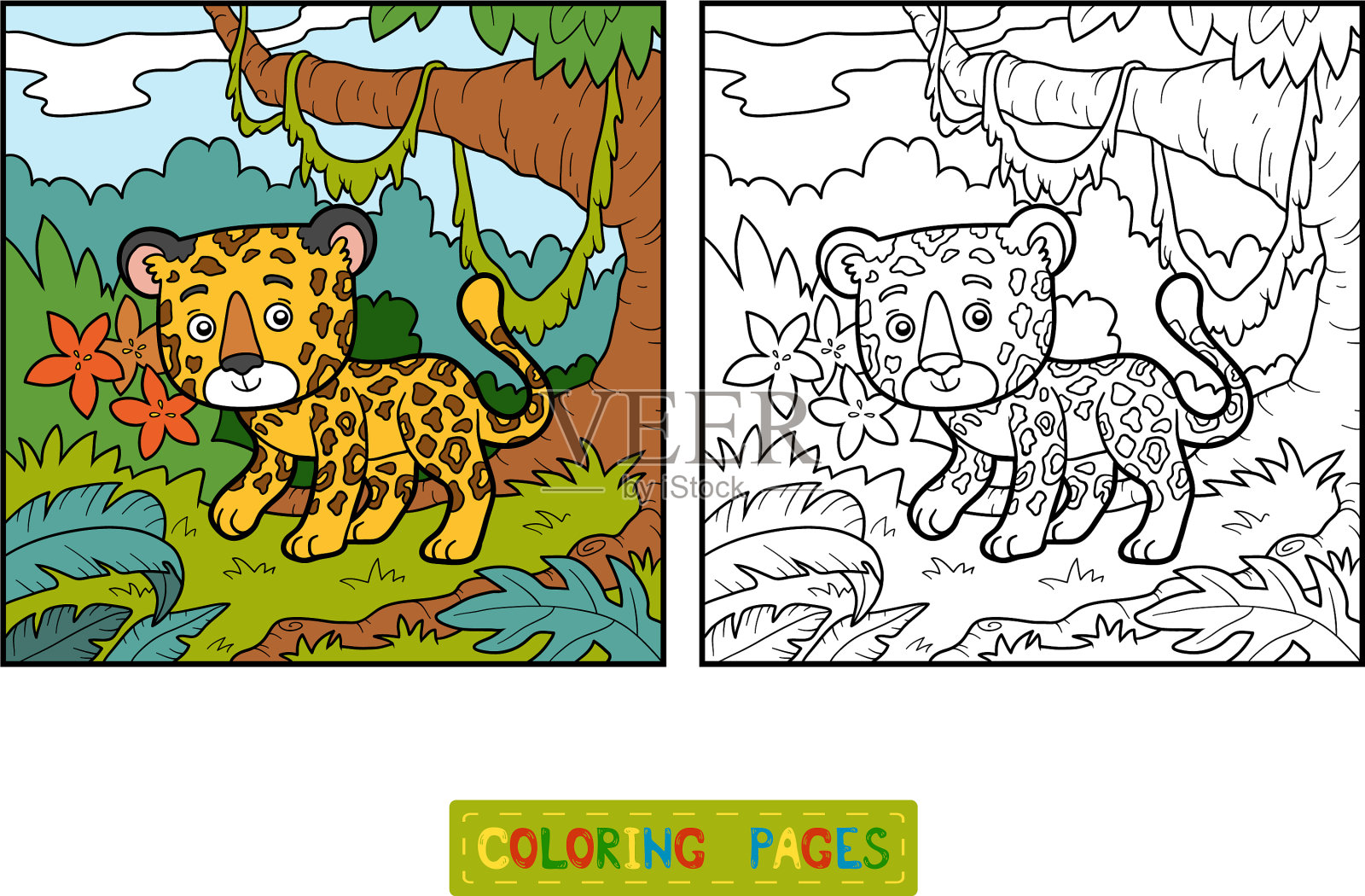 着色书美洲虎和背景插画图片素材