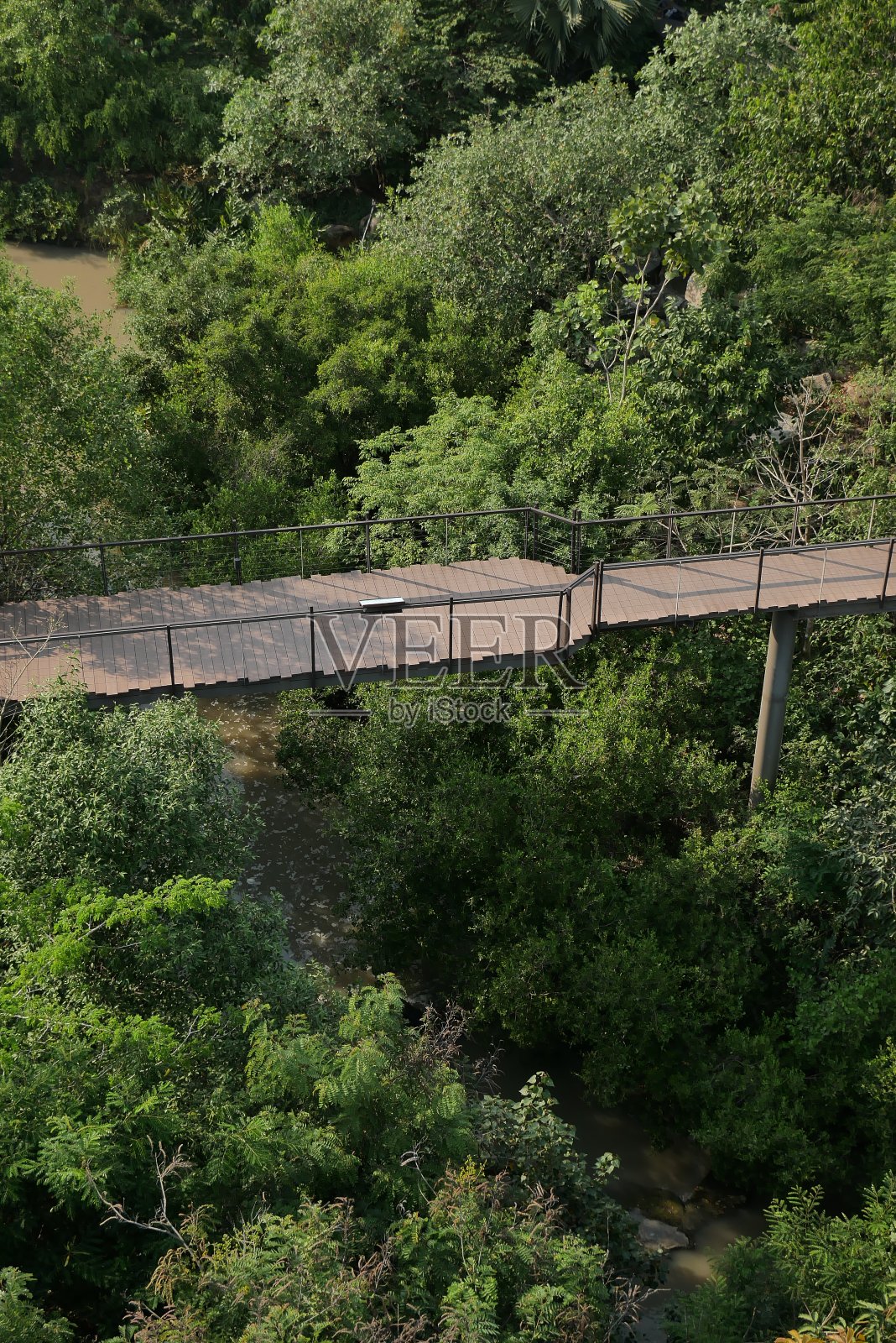 在城市树林间的一座桥照片摄影图片