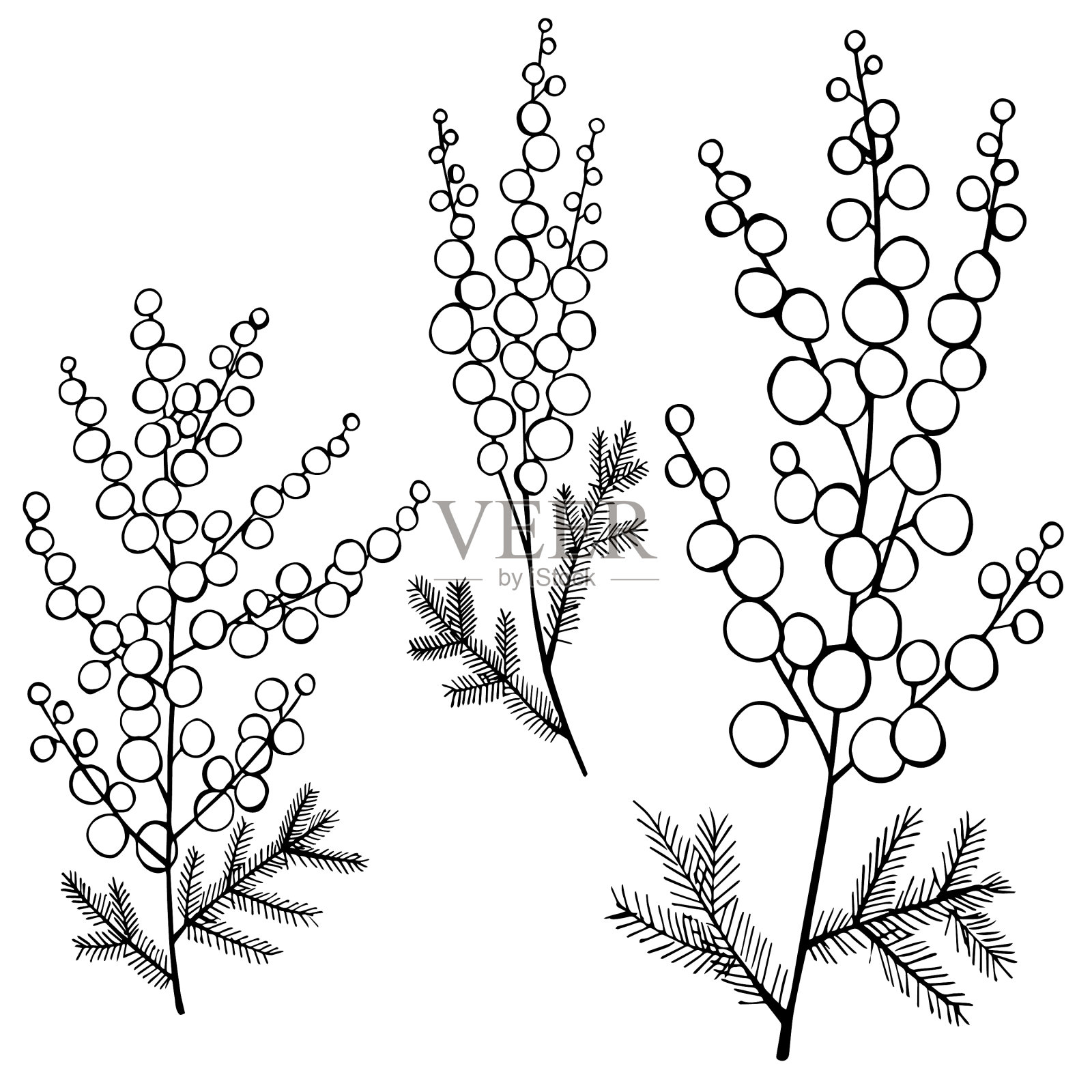 手绘含羞草素描插画图片素材