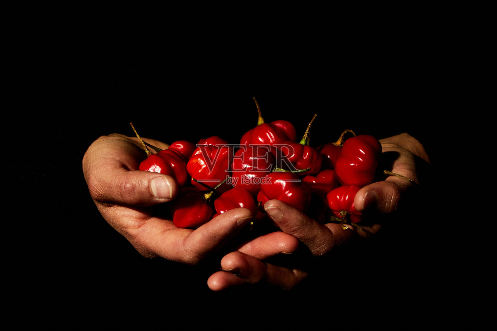 手握着红辣椒哈瓦那辣椒照片摄影图片