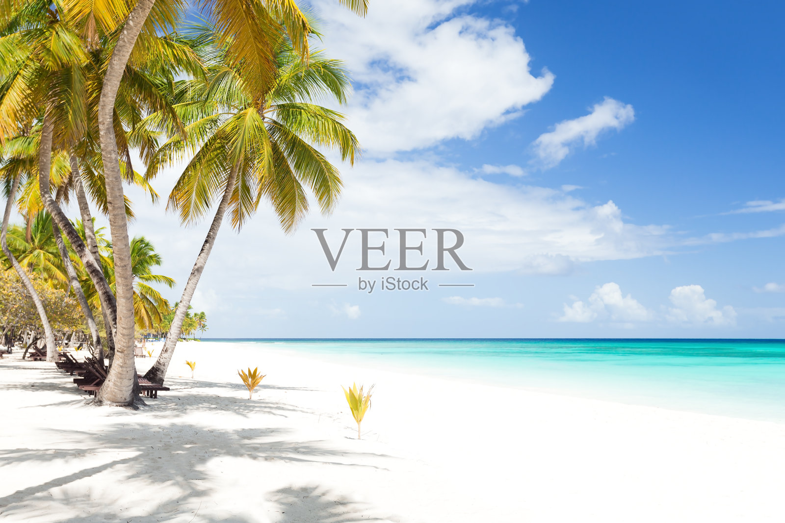 多米尼加共和国,加勒比海绍纳岛。照片摄影图片