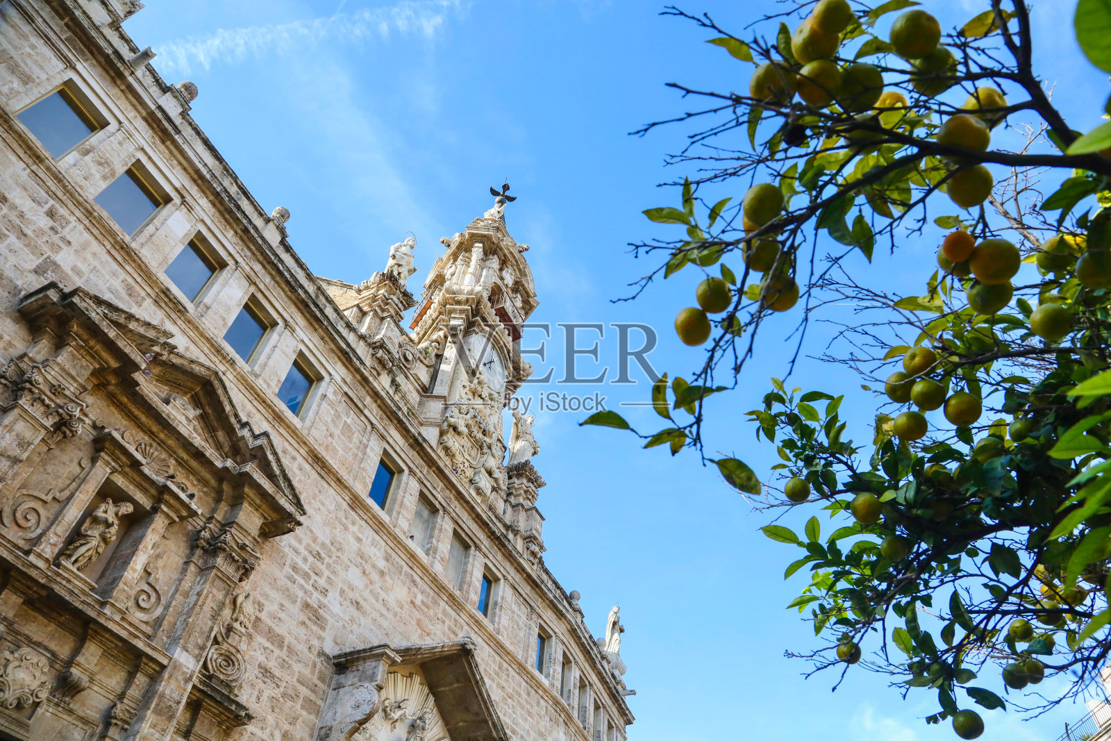 瓦伦西亚橙子照片摄影图片