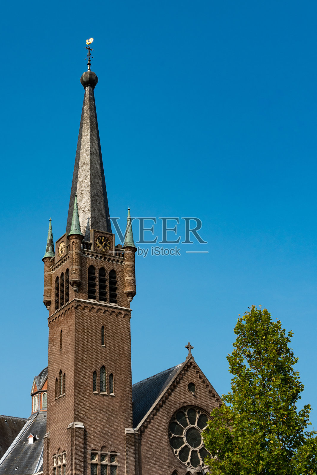 Maria Magdalena Church或Grote Kerk in Goes,荷兰照片摄影图片