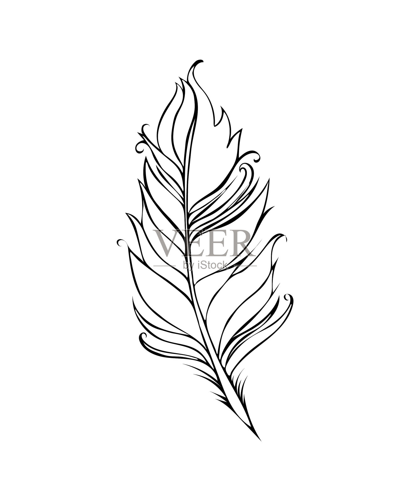 羽毛孤立在白色背景上插画图片素材