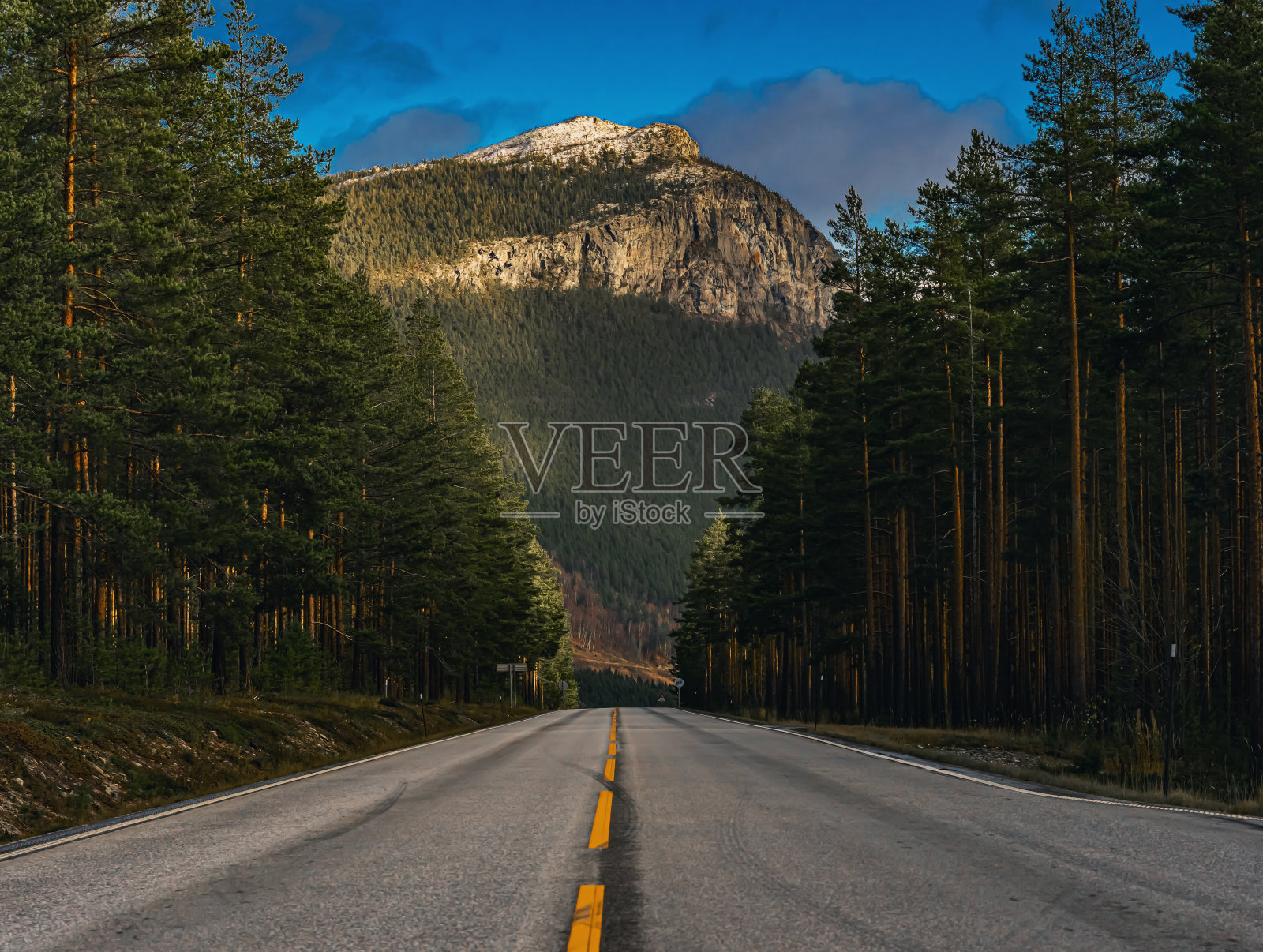 崎岖的柏油路,黄色的中间条纹穿过野生松林,背景是一座山峰。照片摄影图片